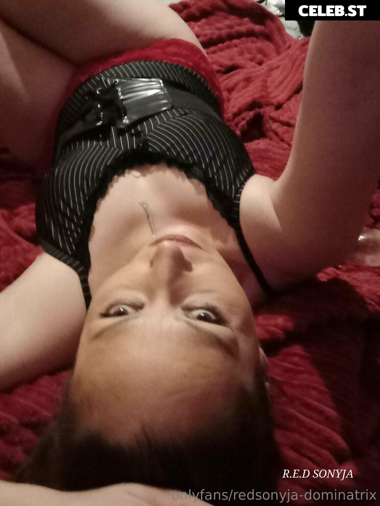 redsonyja-dominatrix Image 22229251
