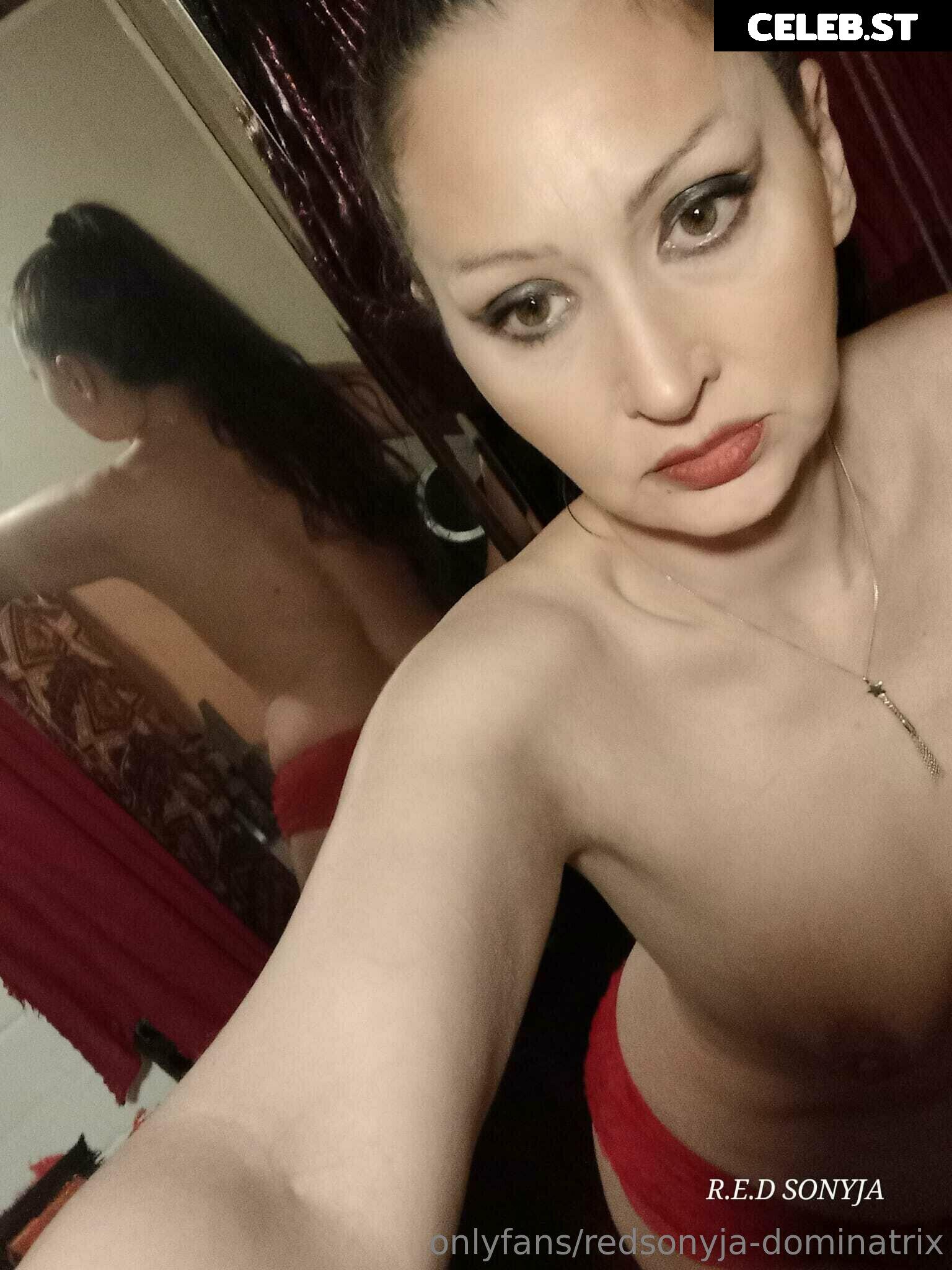 redsonyja-dominatrix Image 22229257