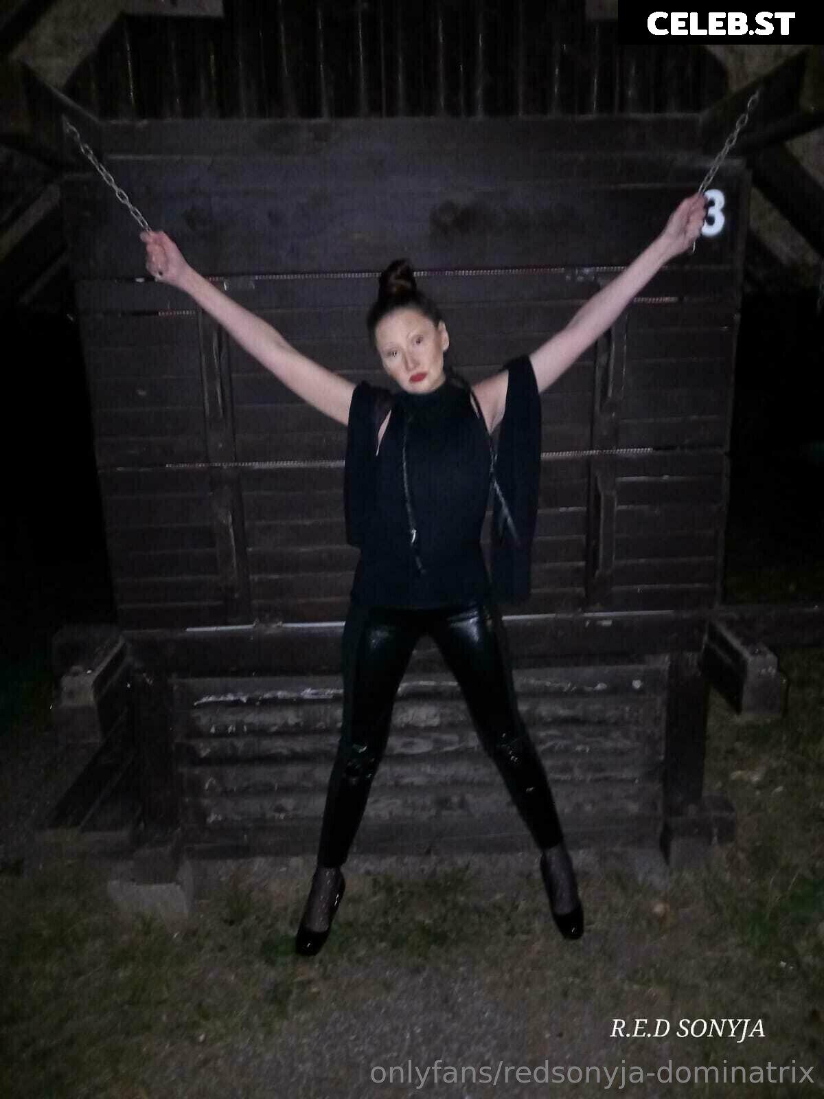 redsonyja-dominatrix Image 22229243