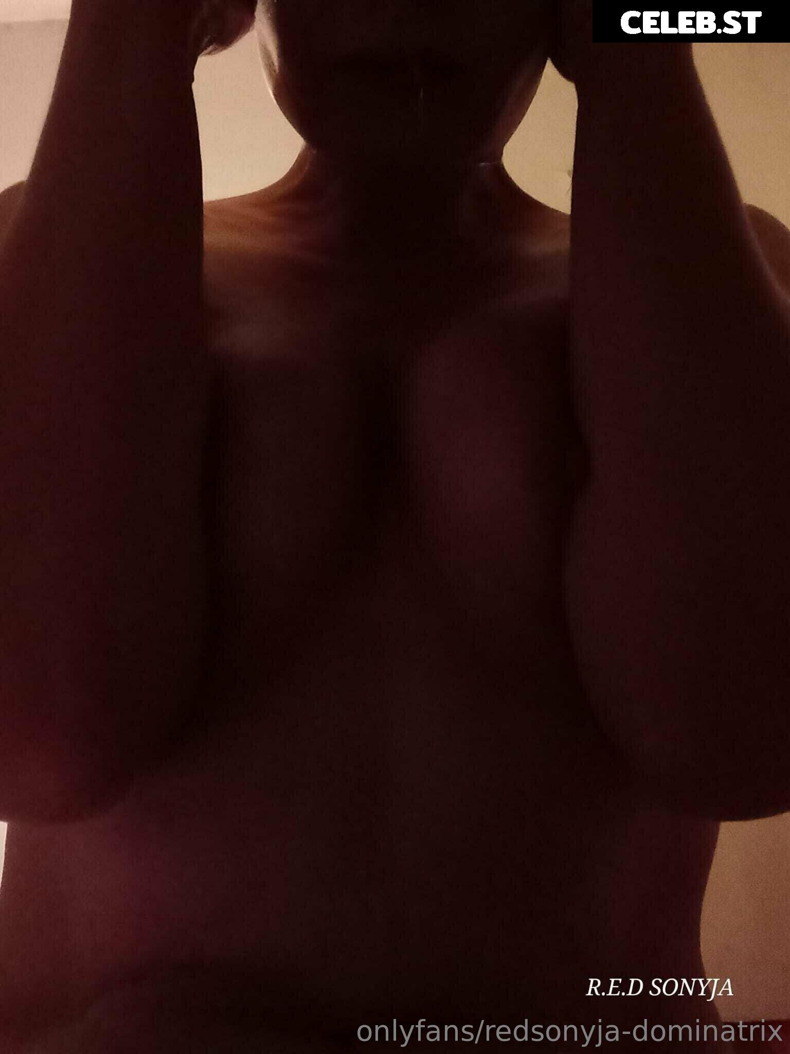 redsonyja-dominatrix Image 22229249