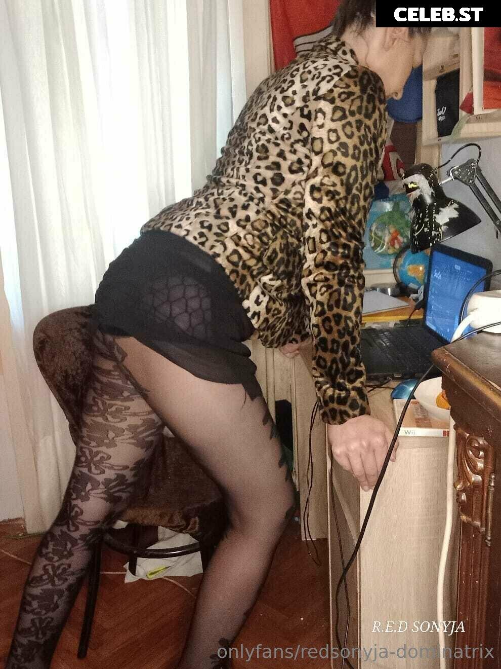redsonyja-dominatrix Image 22229271