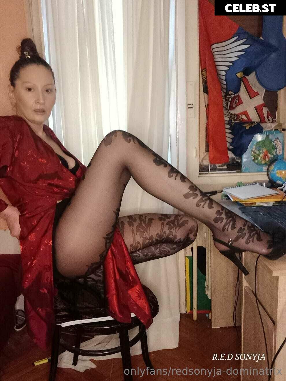 redsonyja-dominatrix Image 22229270