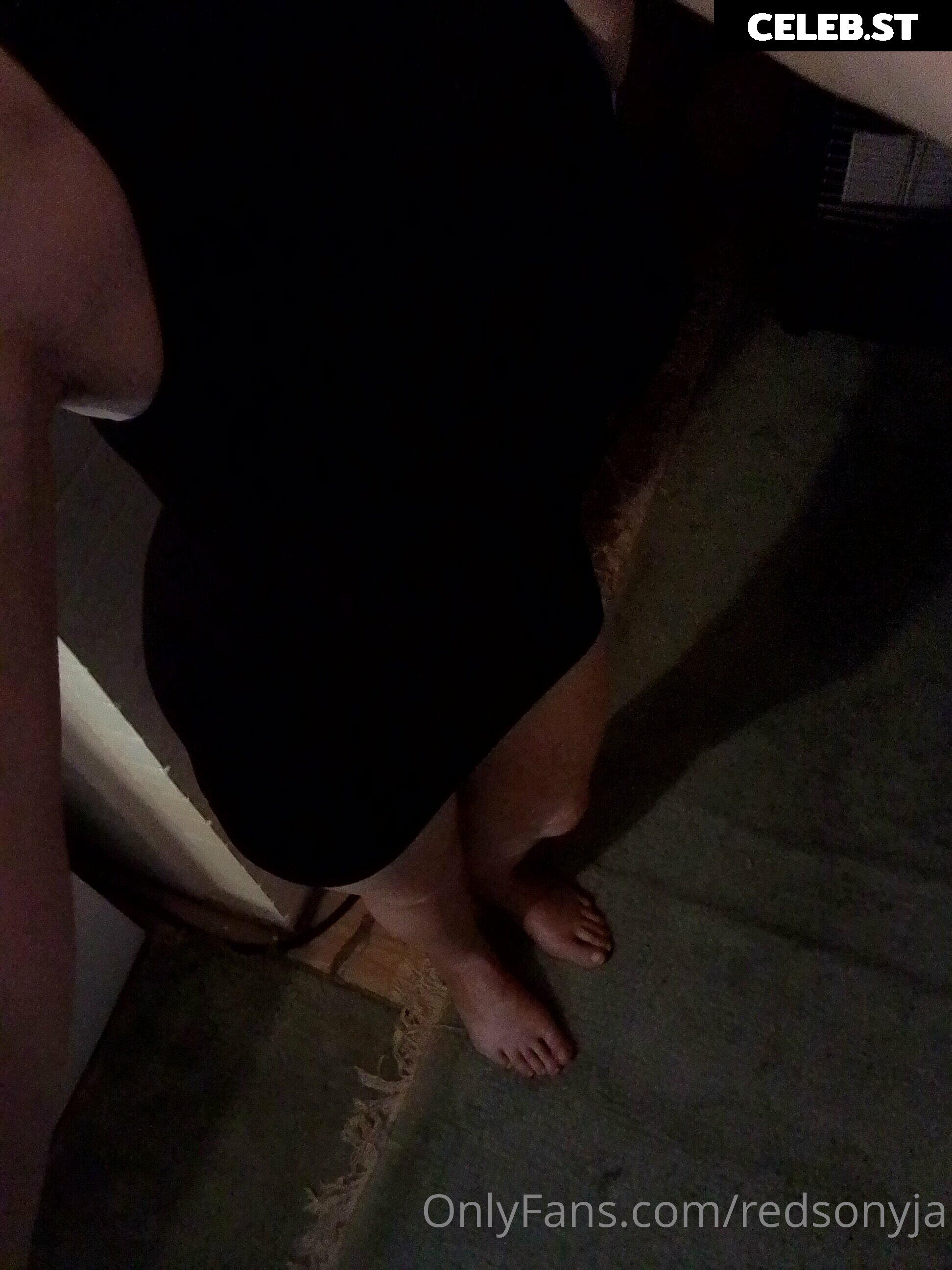 redsonyja-dominatrix Image 22231006