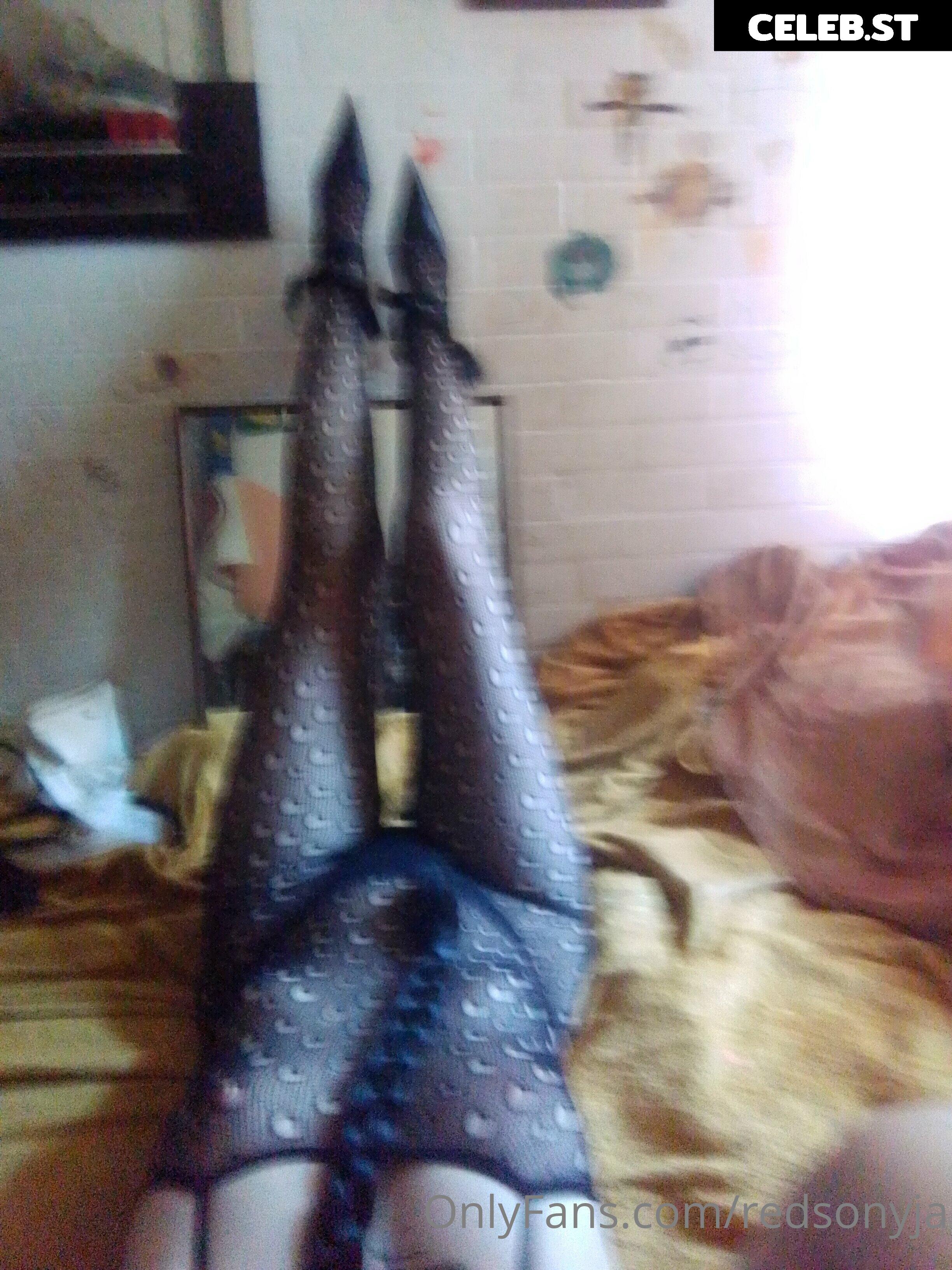 redsonyja-dominatrix Image 22230937