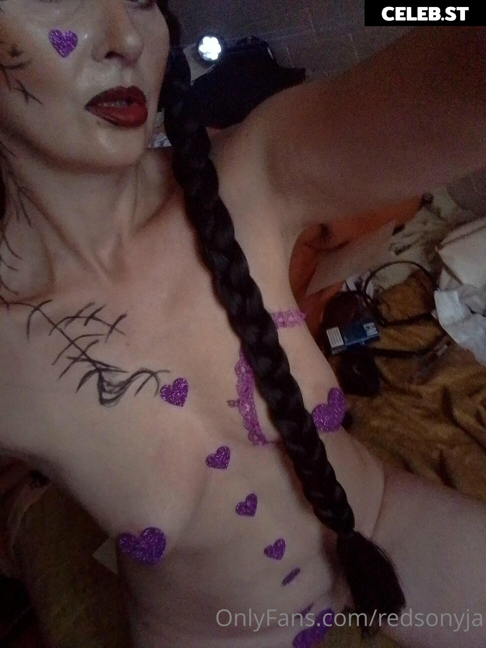 redsonyja-dominatrix Image 22230938