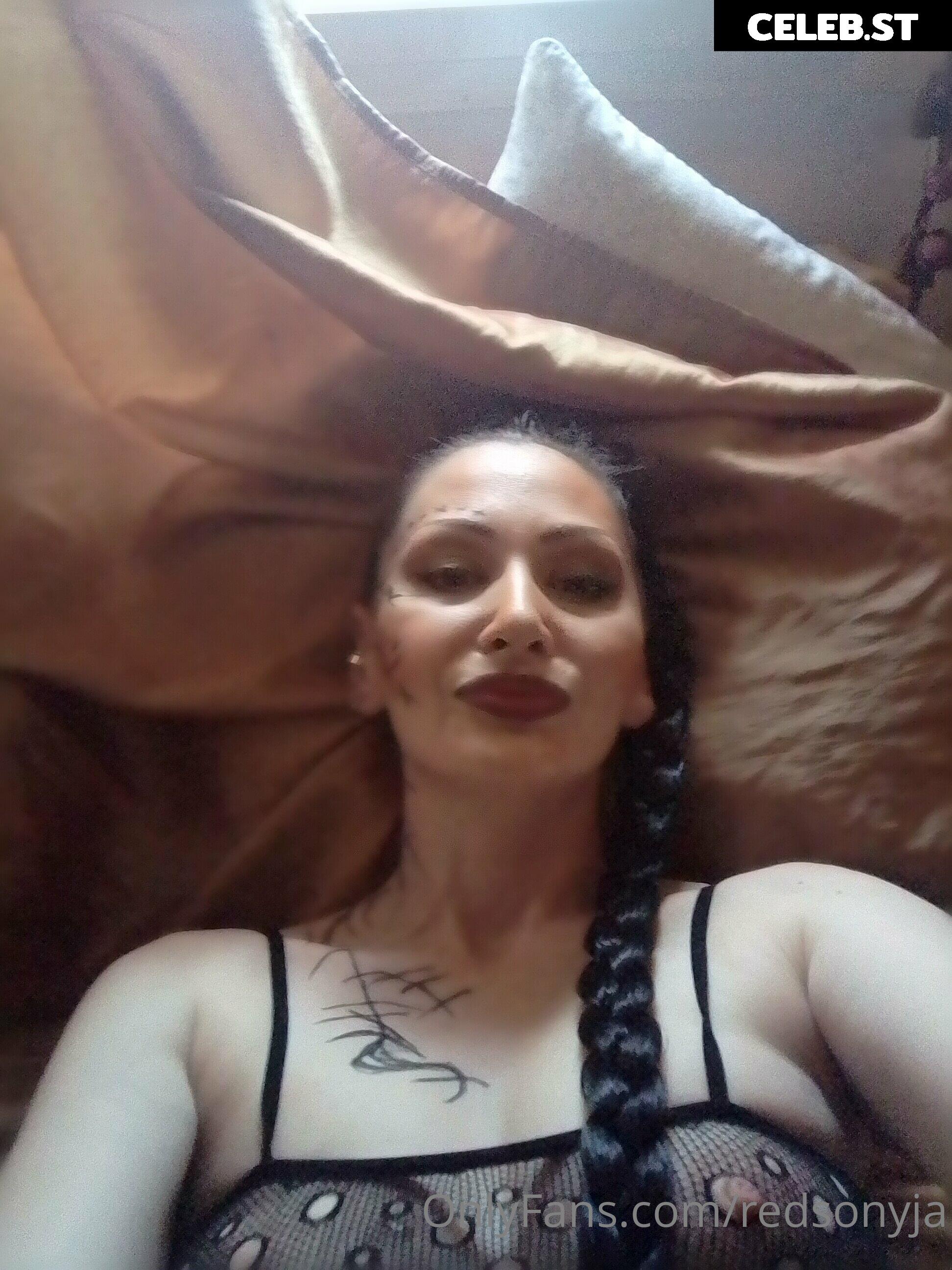 redsonyja-dominatrix Image 22230966