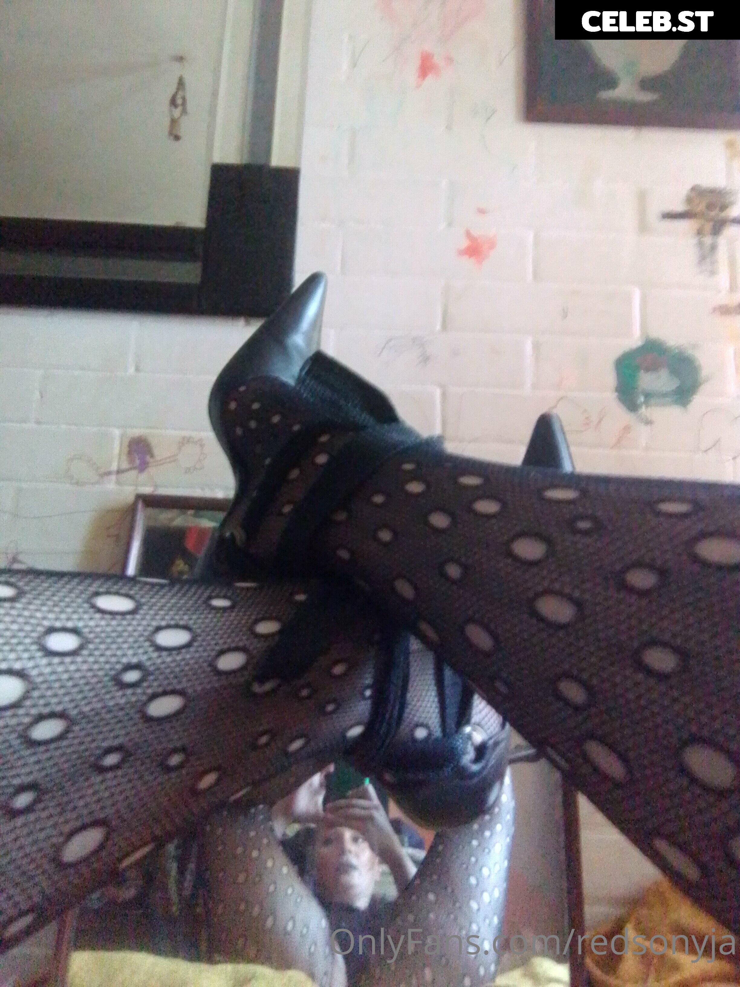 redsonyja-dominatrix Image 22230941