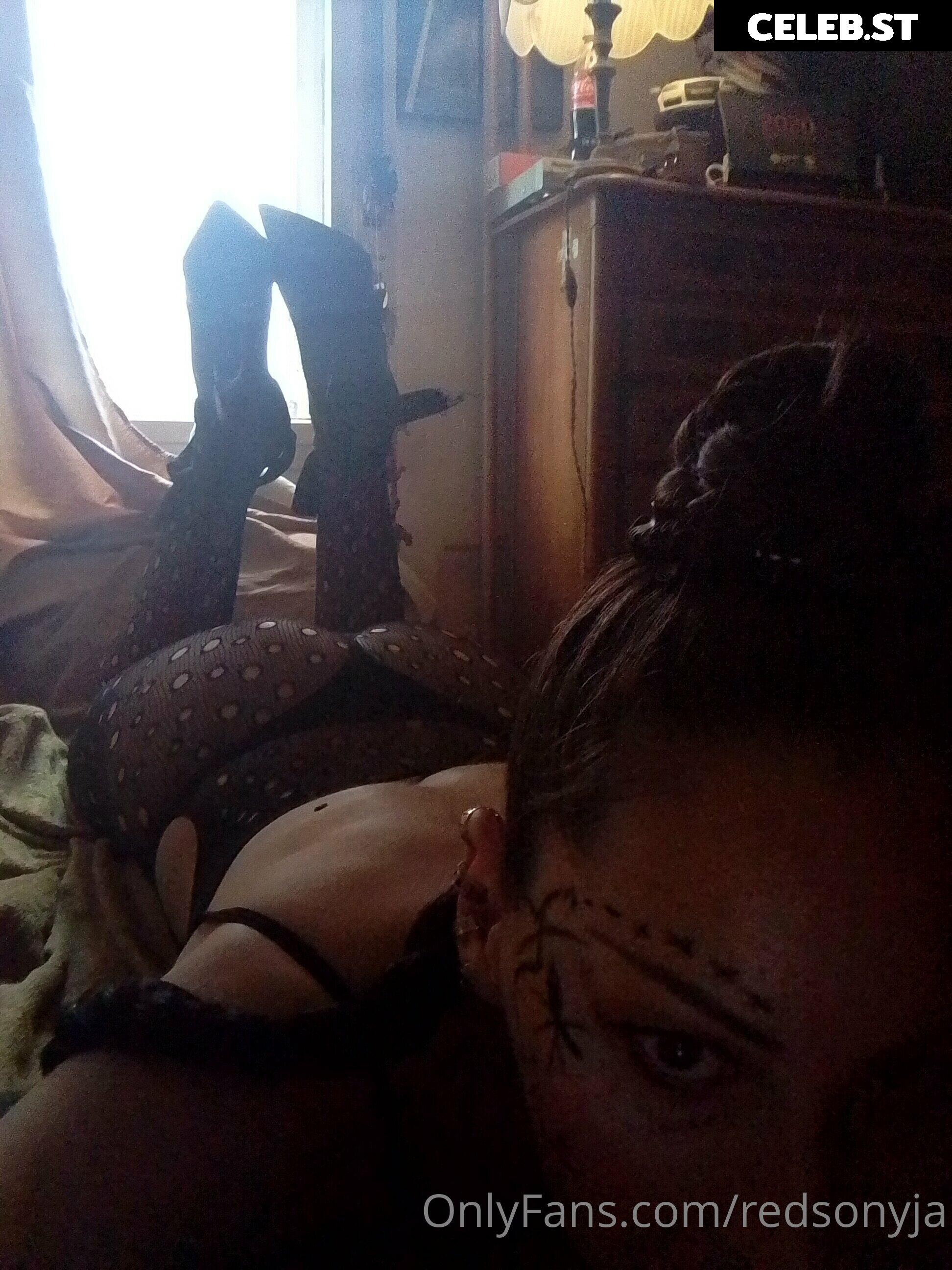 redsonyja-dominatrix Image 22230945