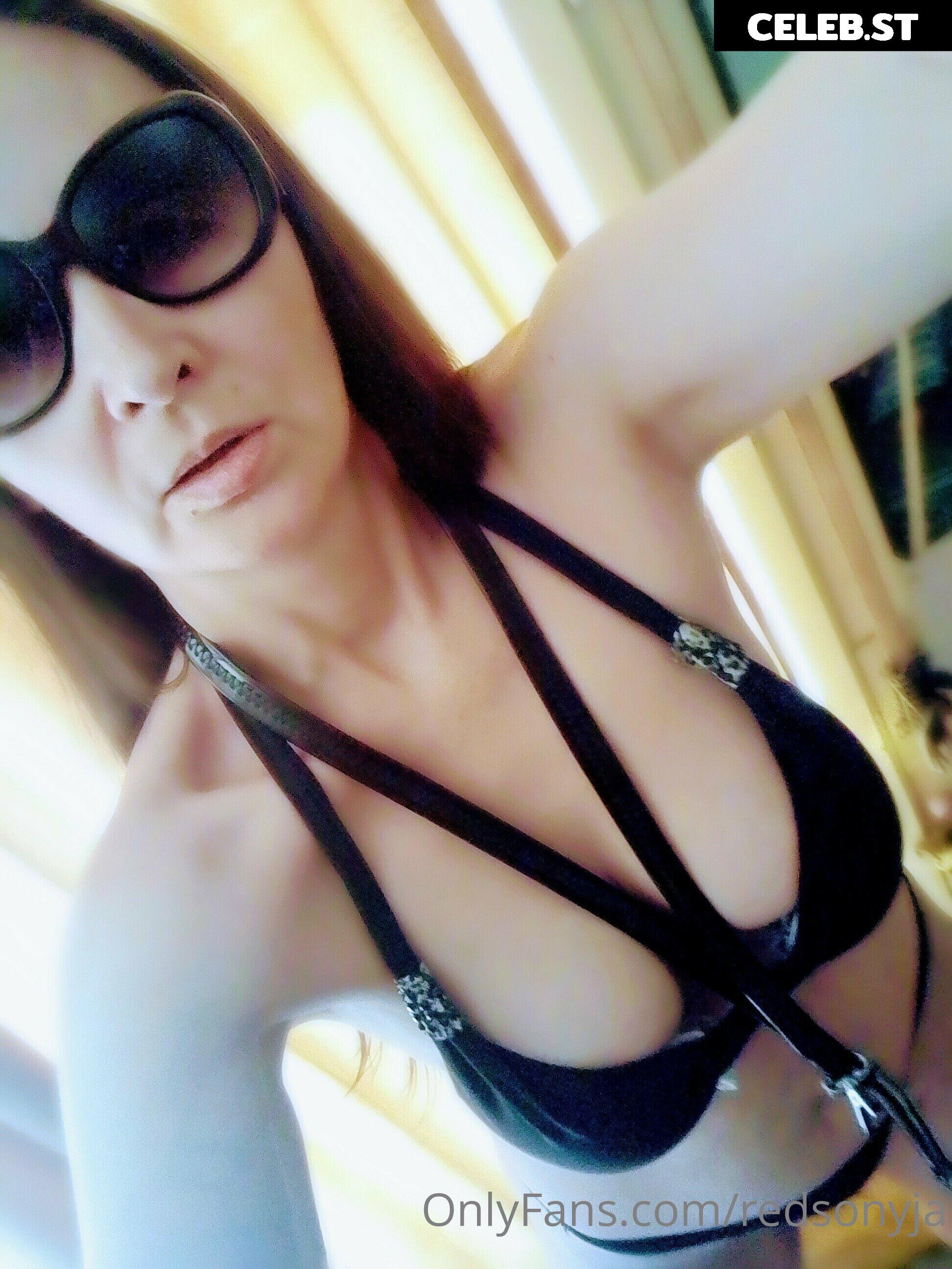 redsonyja-dominatrix Image 22230978