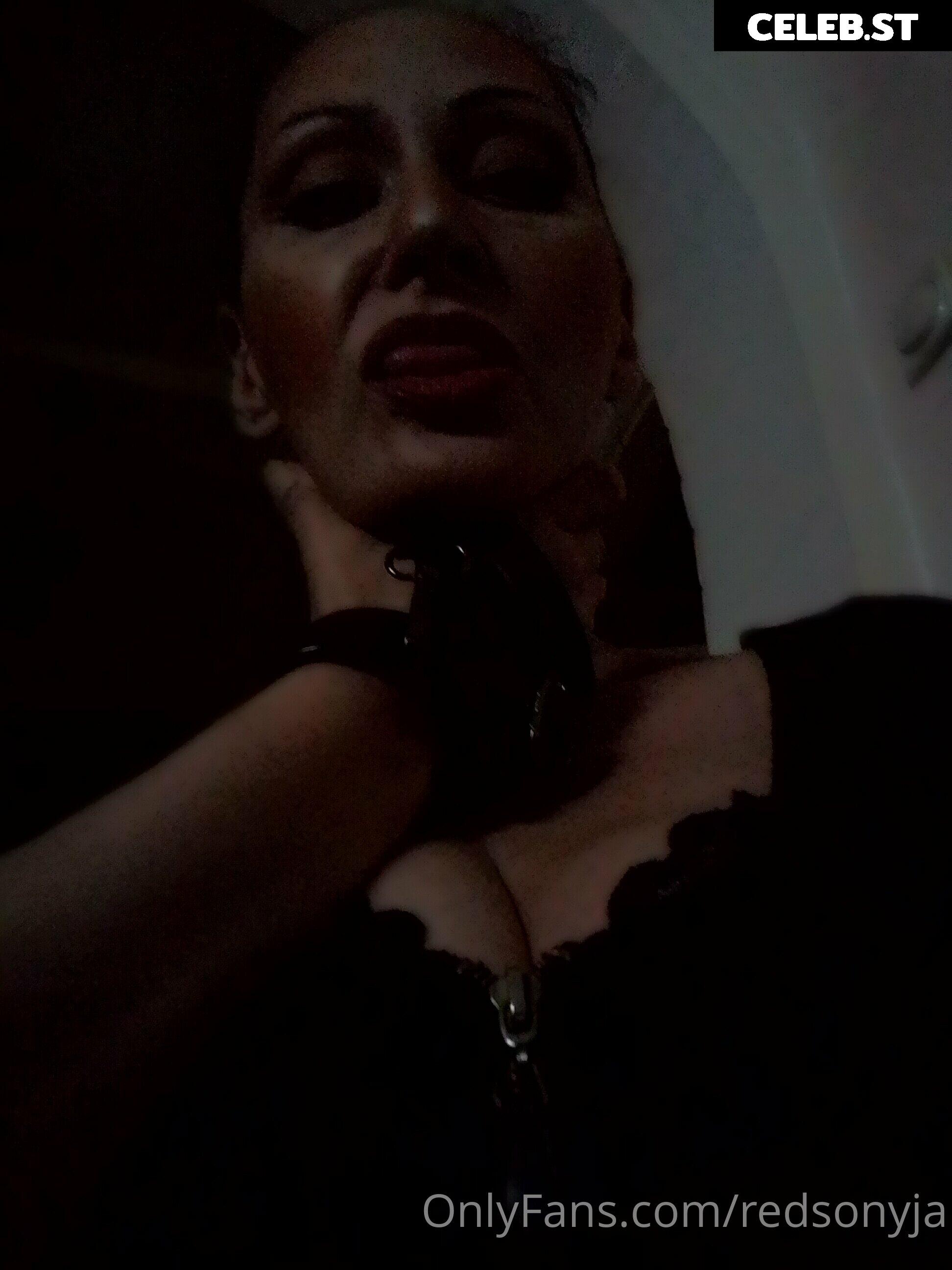redsonyja-dominatrix Image 22230896