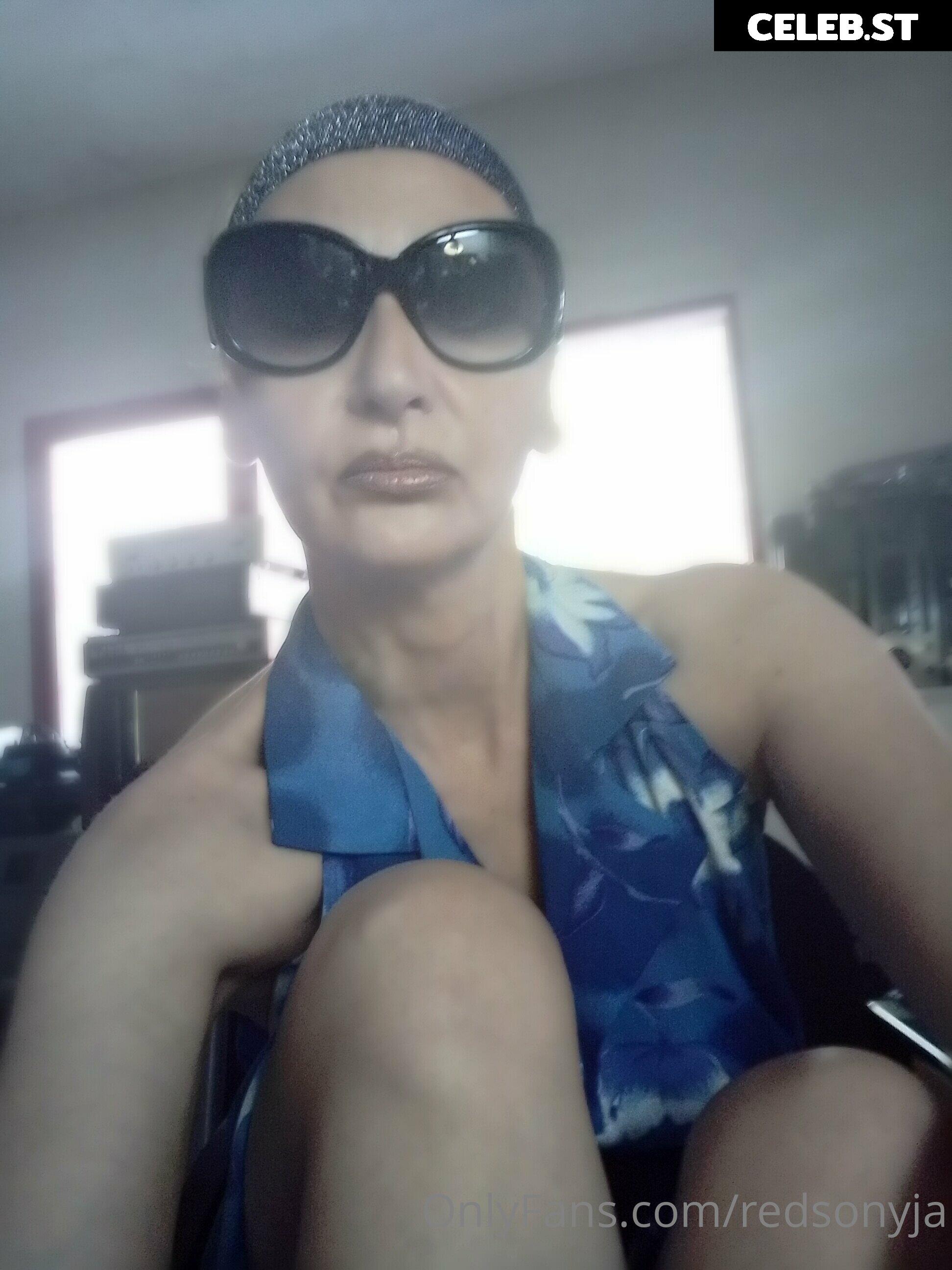 redsonyja-dominatrix Image 22230883