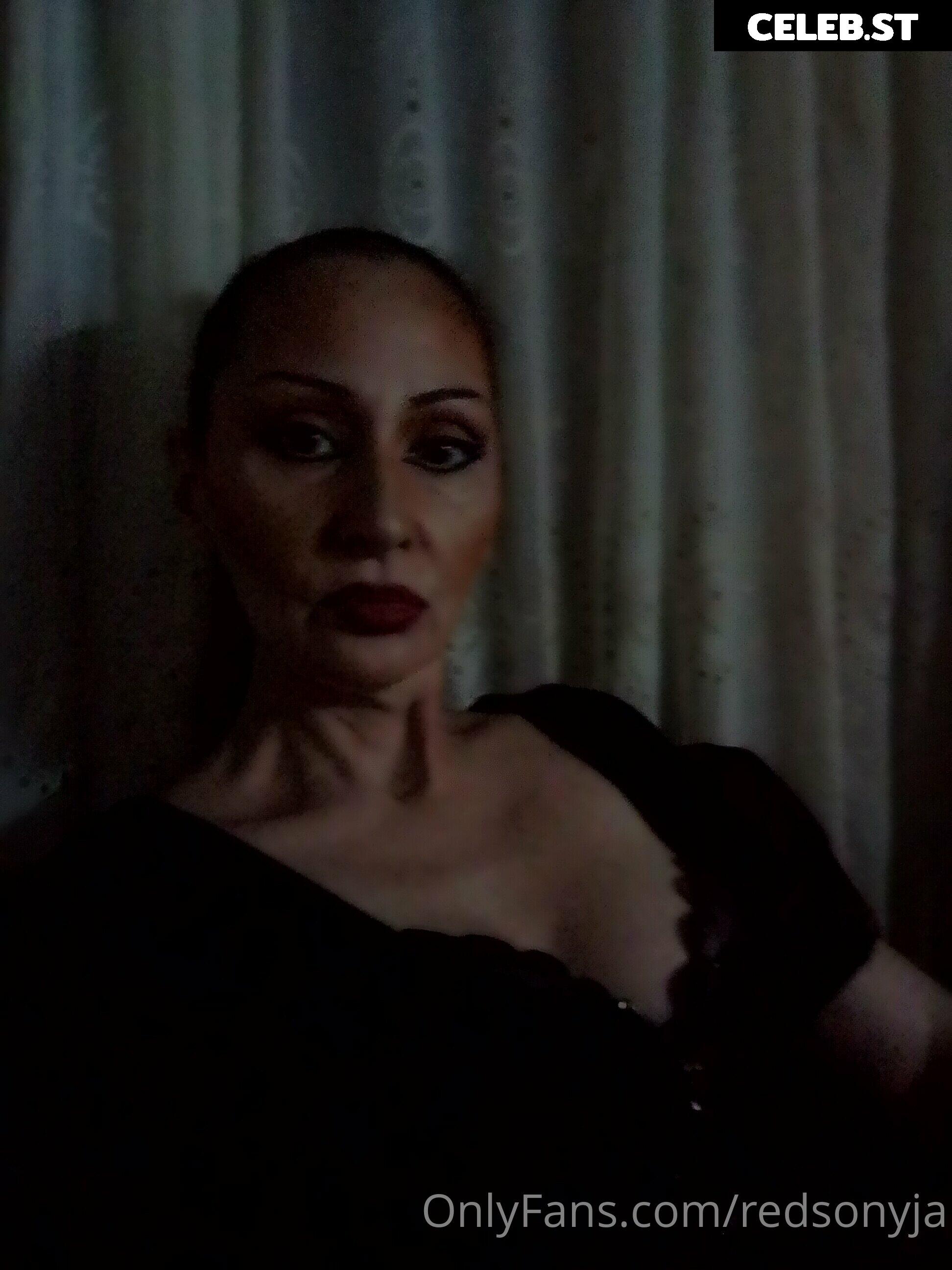 redsonyja-dominatrix Image 22230870