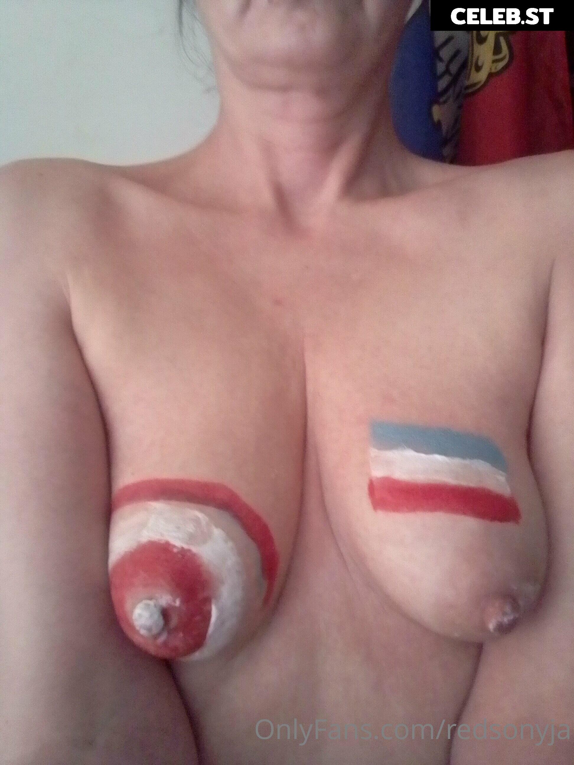 redsonyja-dominatrix Image 22230874