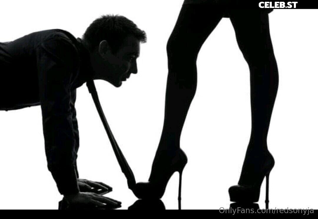 redsonyja-dominatrix Image 22230421