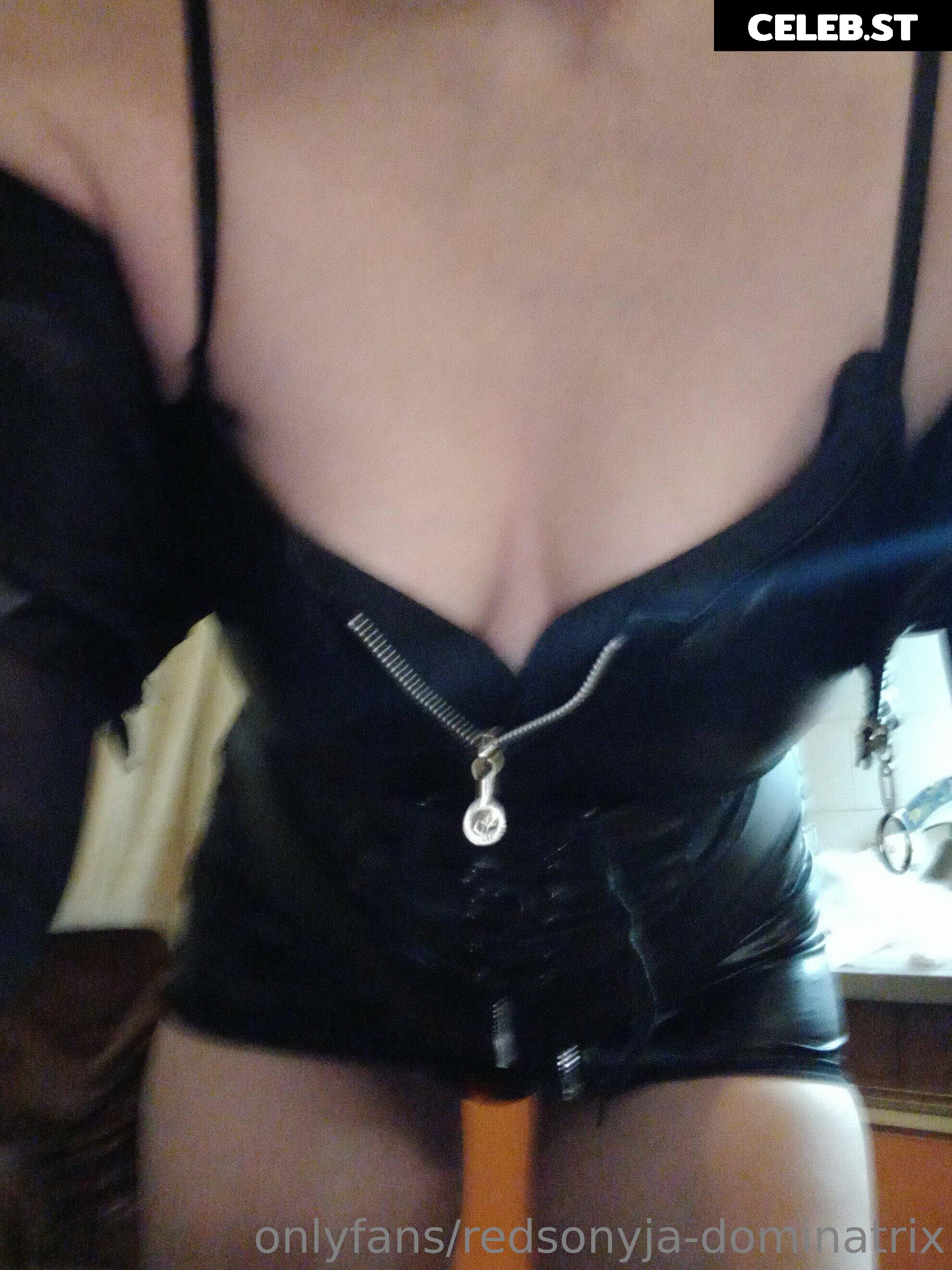 redsonyja-dominatrix Image 22230438