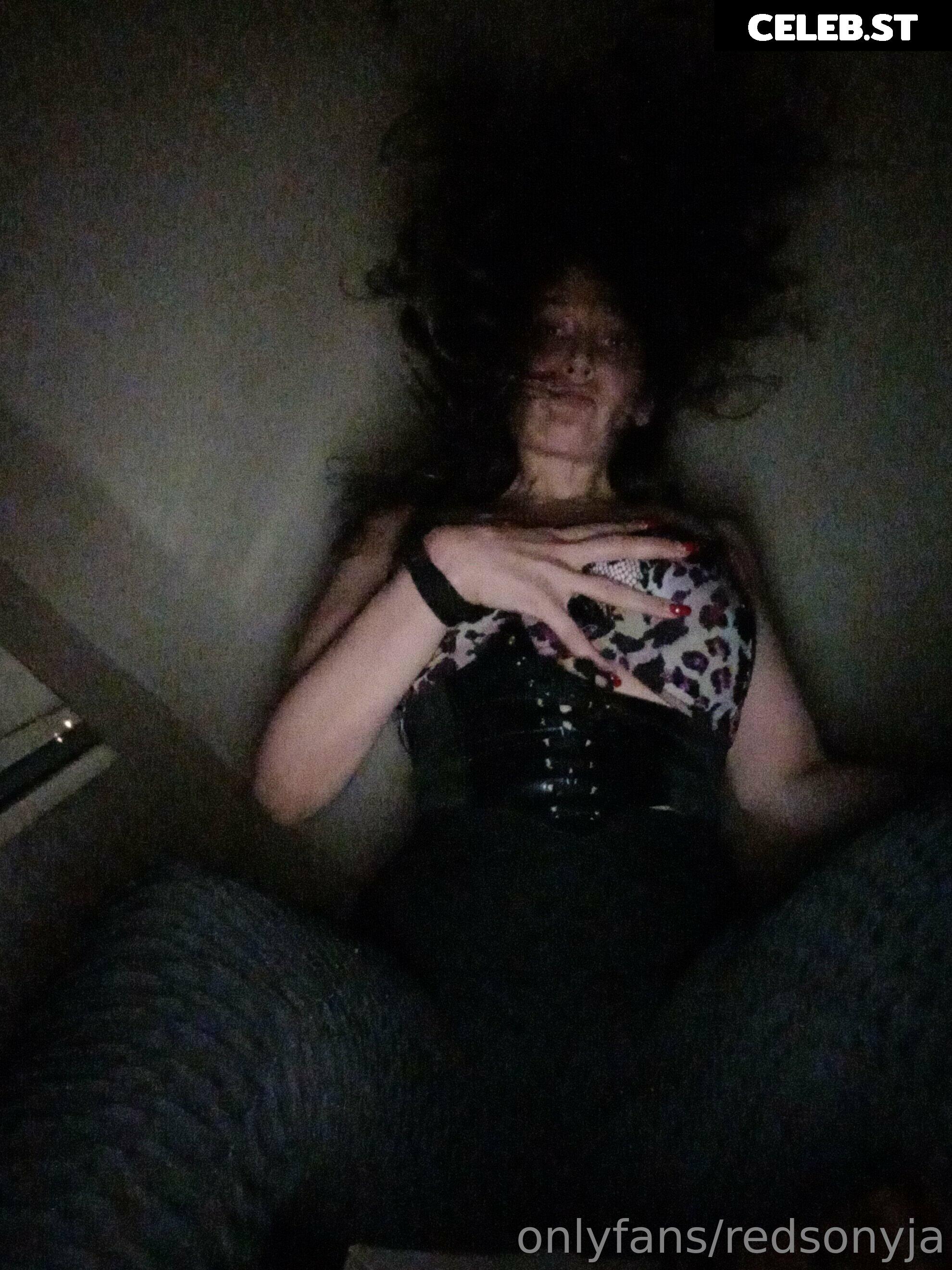 redsonyja-dominatrix Image 22230470