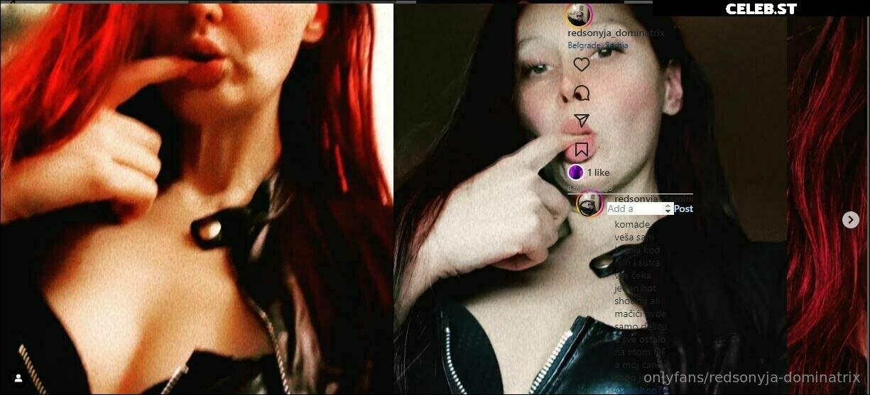 redsonyja-dominatrix Image 22230477