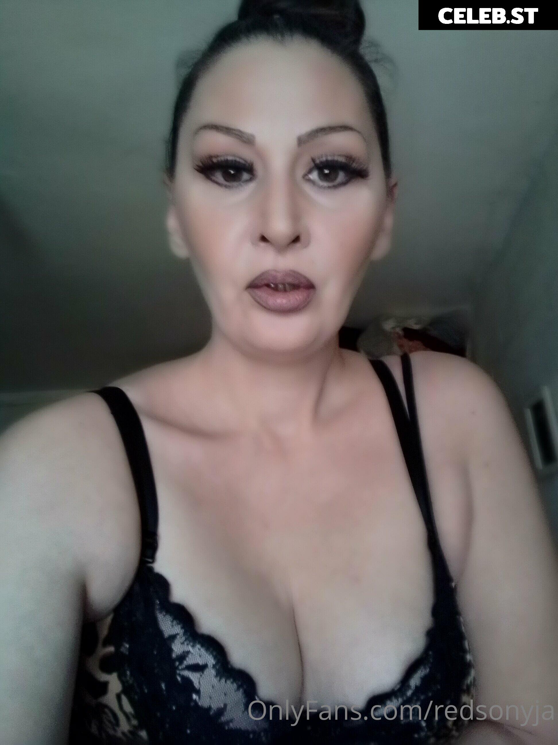 redsonyja-dominatrix Image 22230786