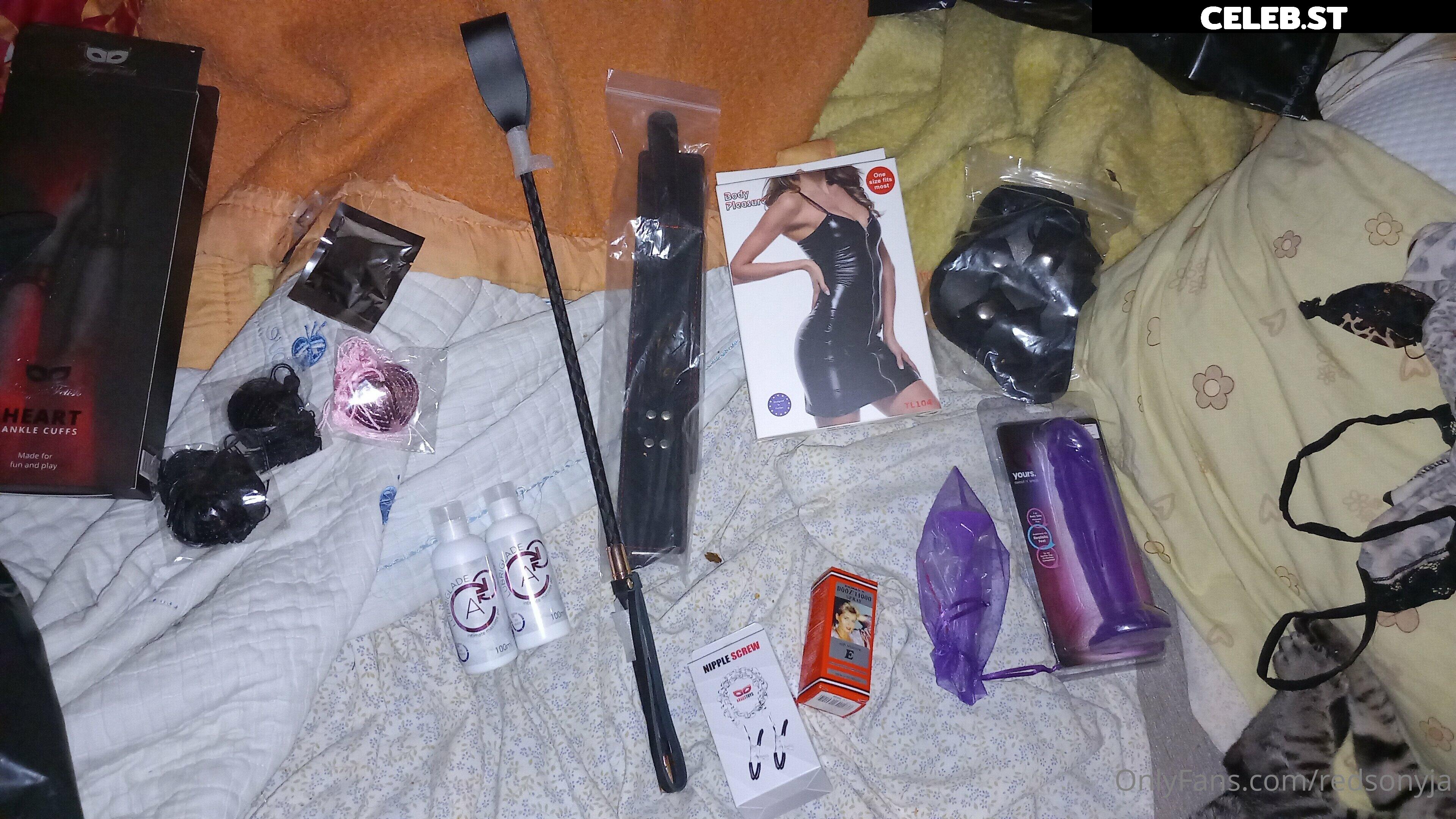redsonyja-dominatrix Image 22230703
