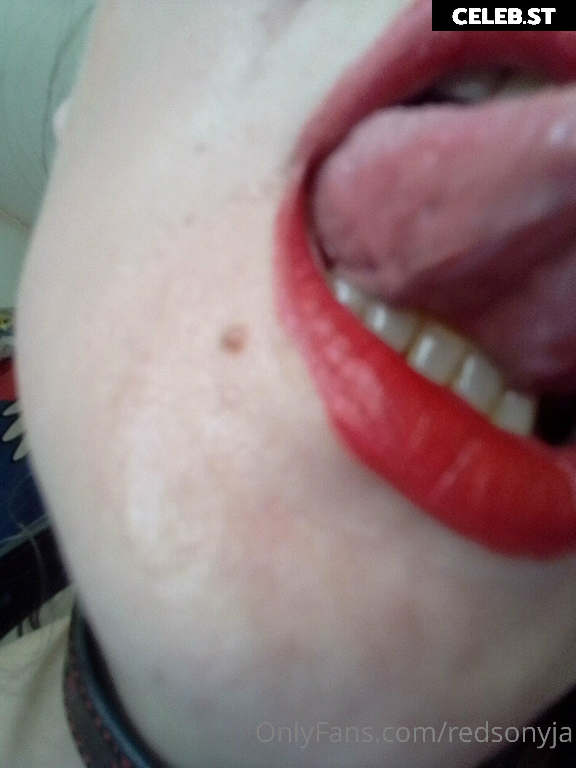 redsonyja-dominatrix Image 22230738