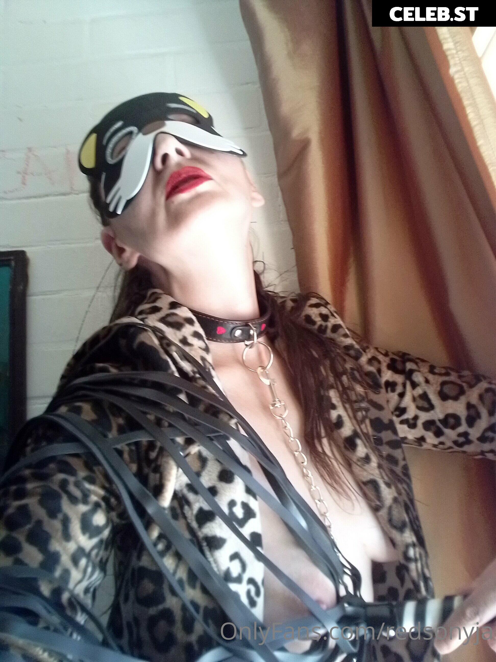 redsonyja-dominatrix Image 22230760