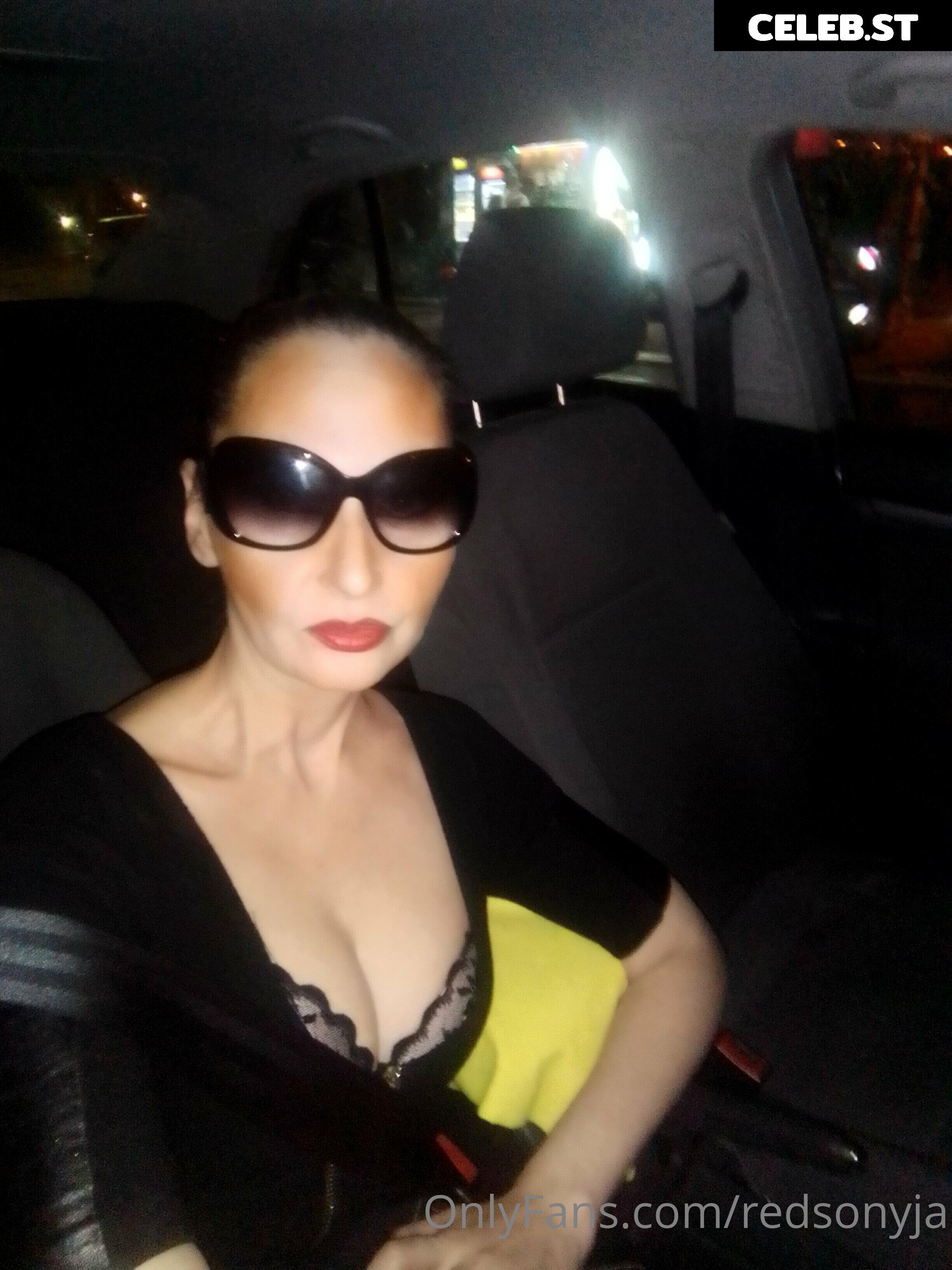 redsonyja-dominatrix Image 22230766