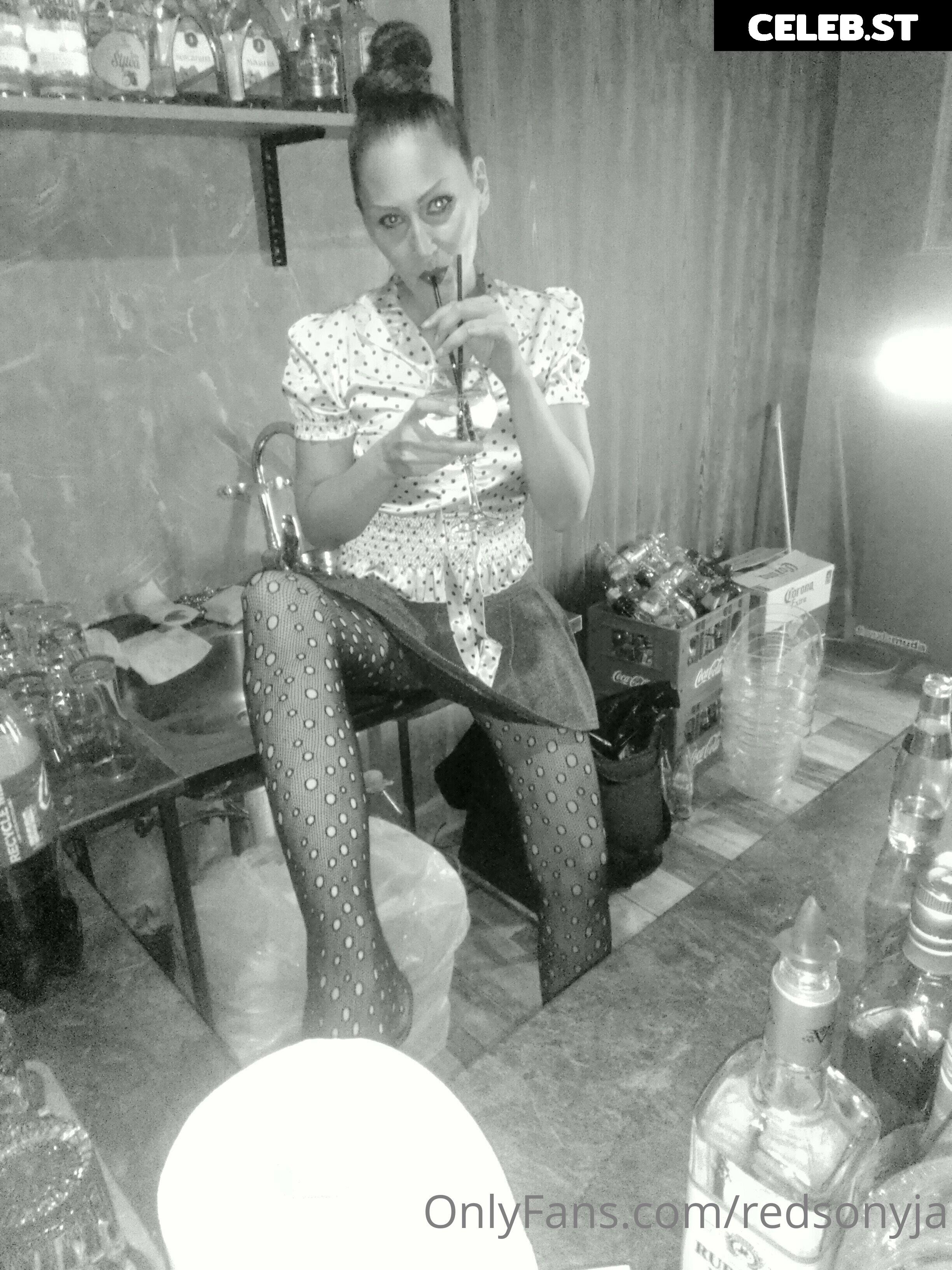 redsonyja-dominatrix Image 22230758