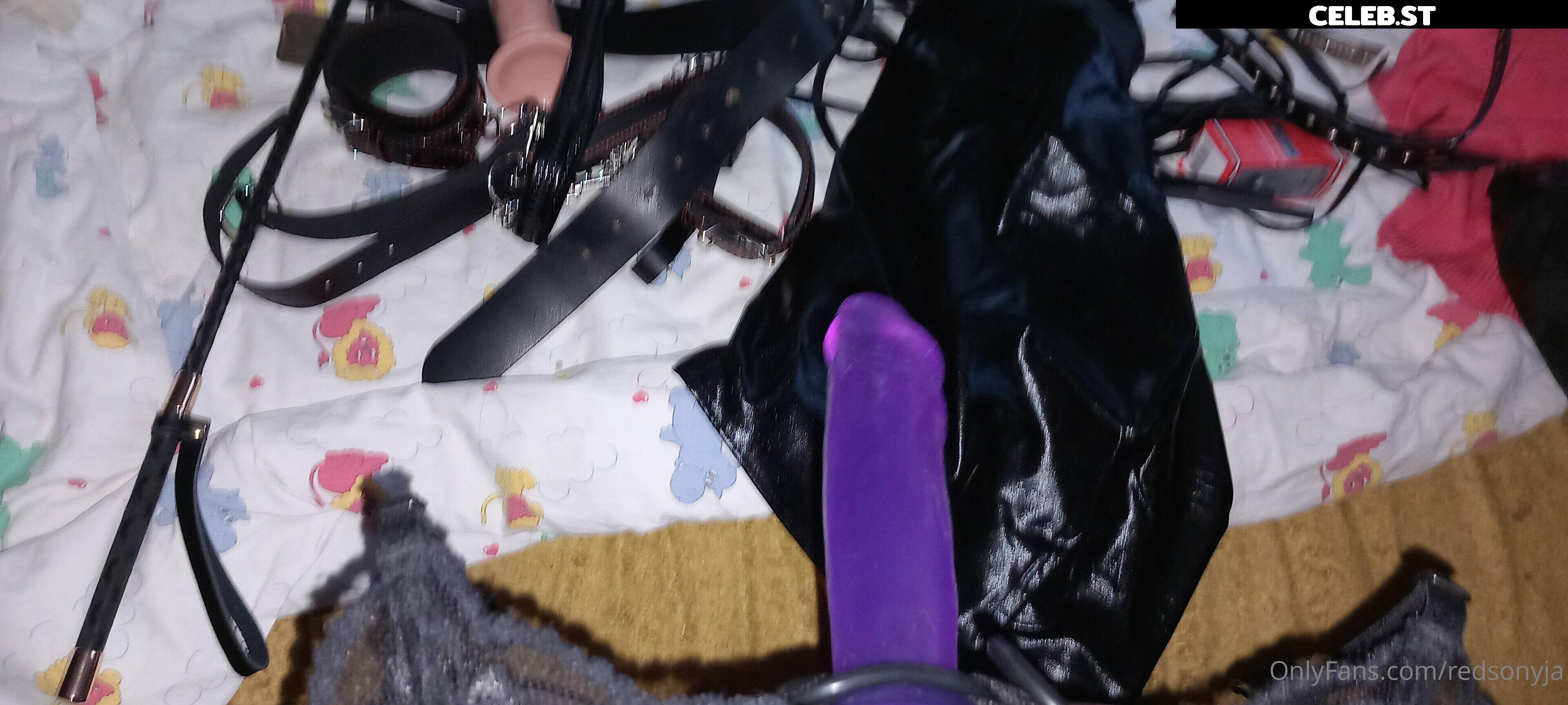 redsonyja-dominatrix Image 22230656