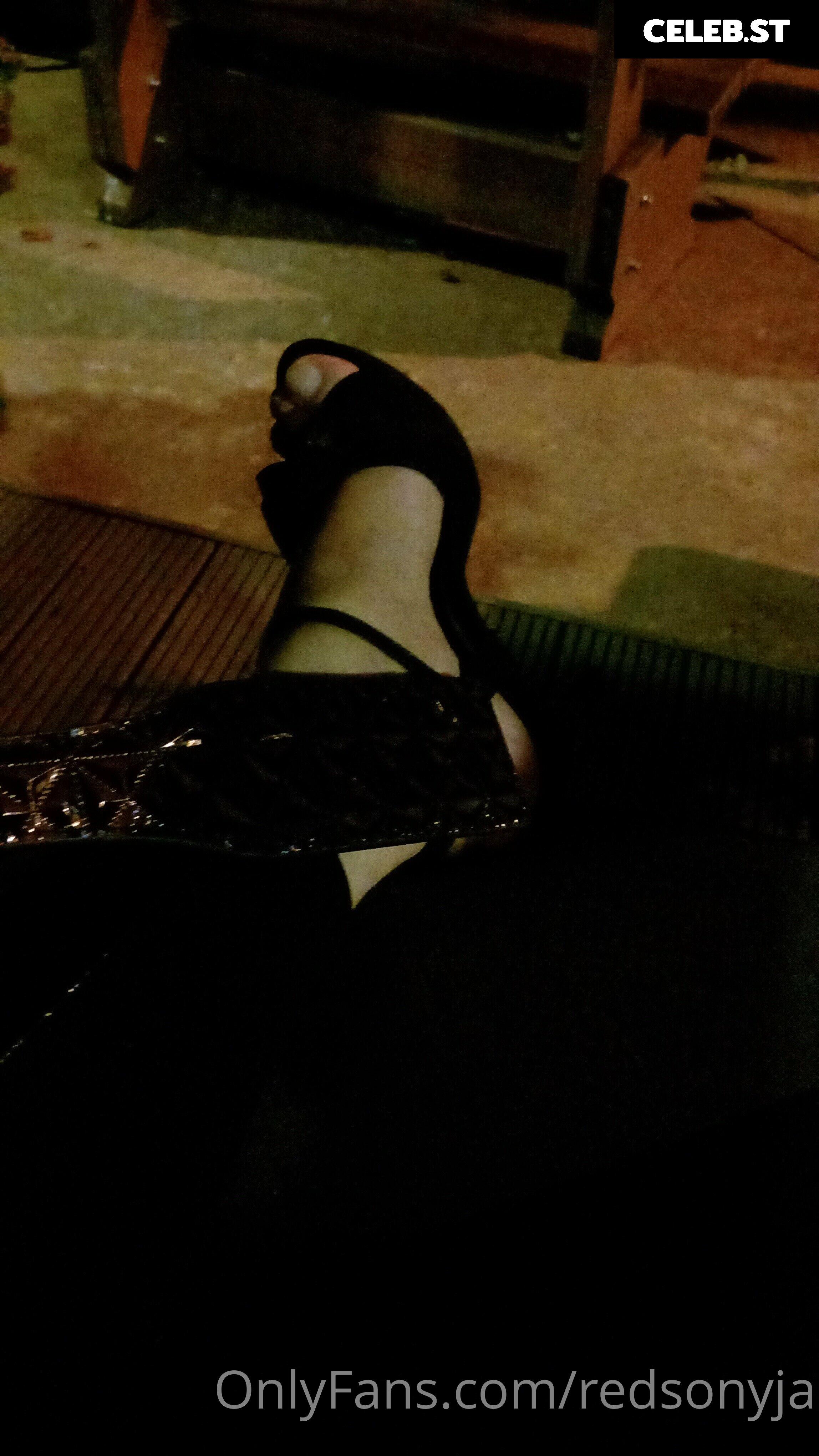 redsonyja-dominatrix Image 22230670