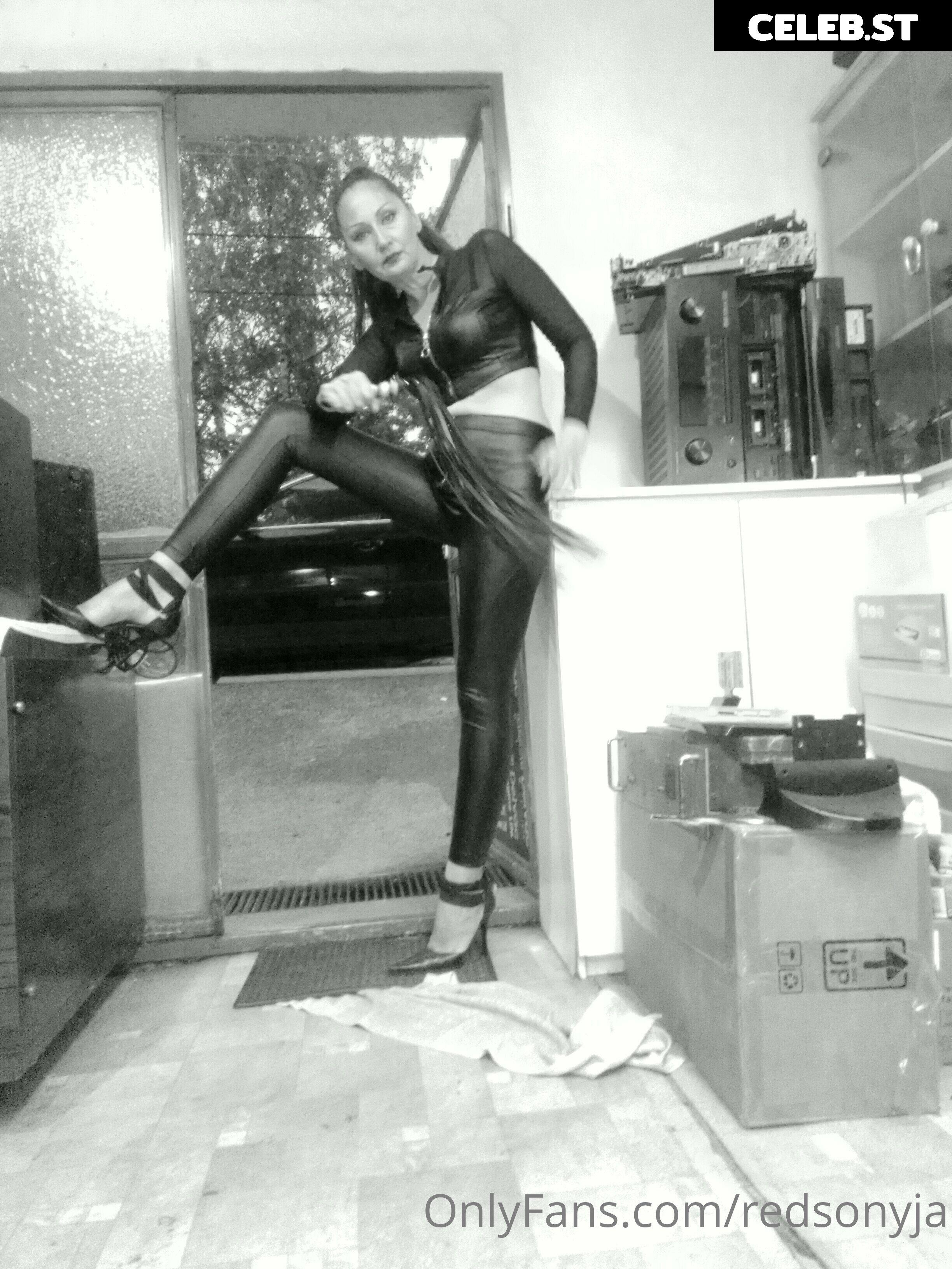 redsonyja-dominatrix Image 22230677