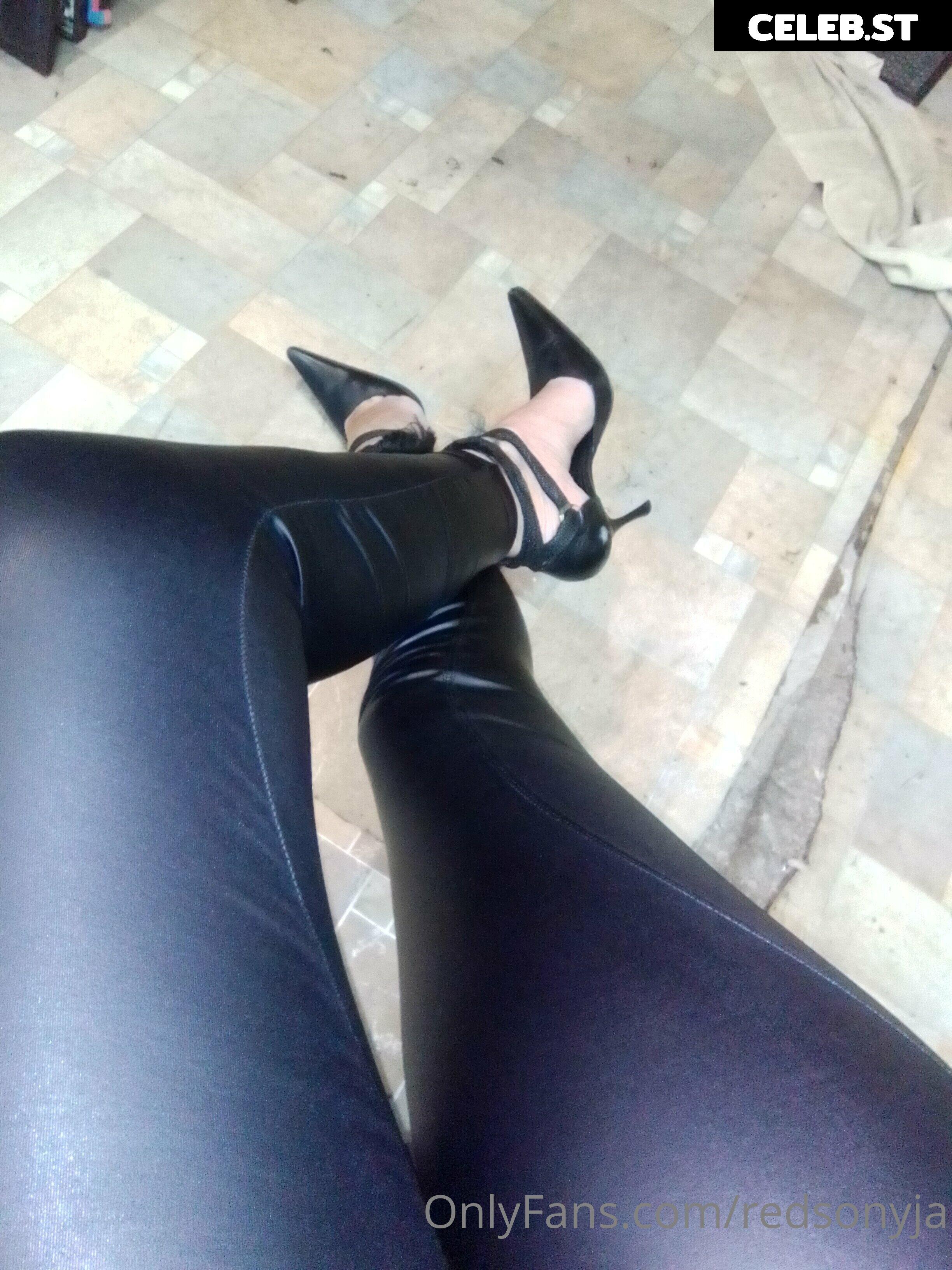 redsonyja-dominatrix Image 22230114