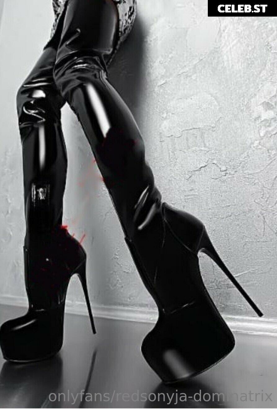 redsonyja-dominatrix Image 22230107