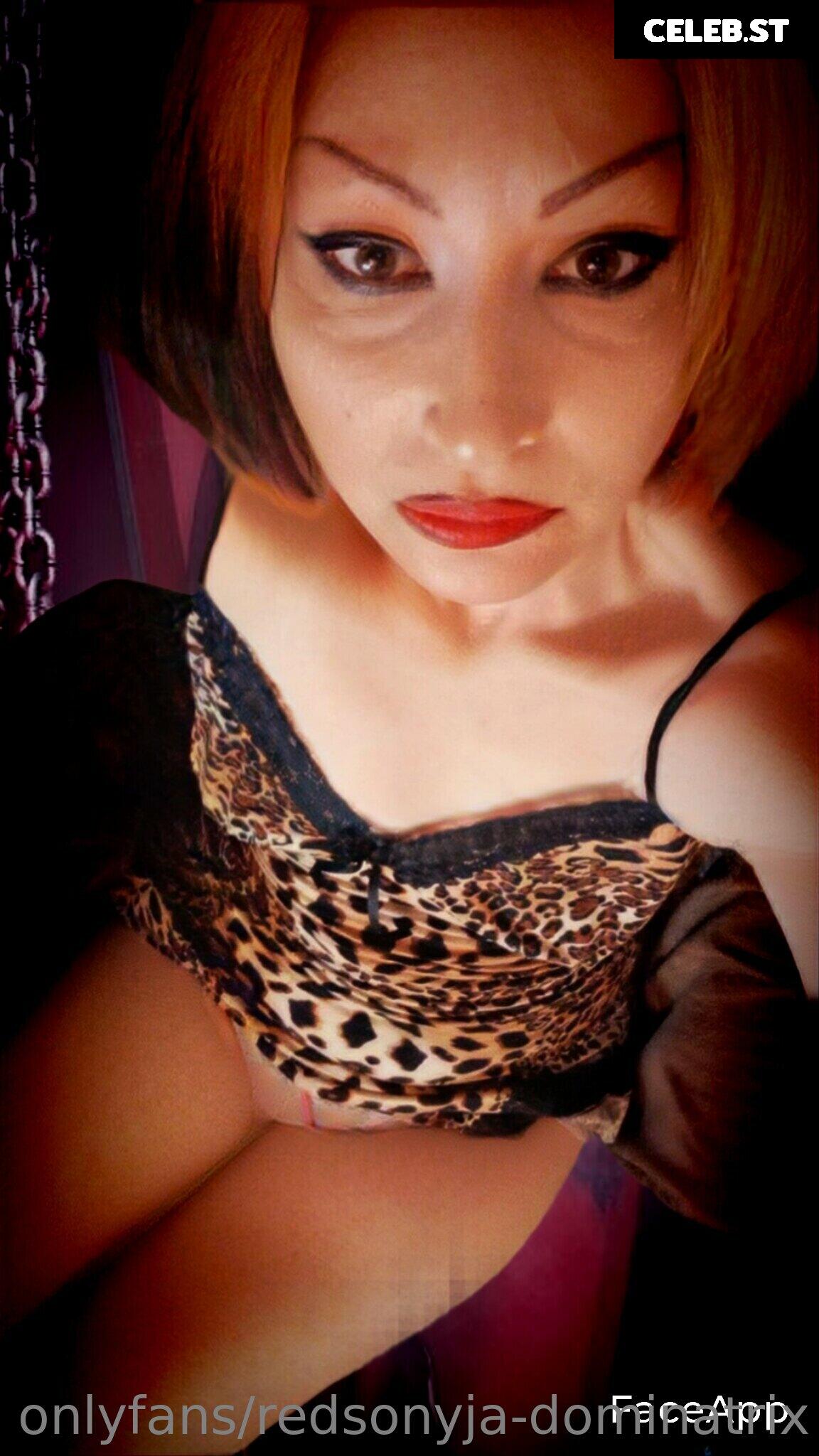 redsonyja-dominatrix Image 22230132