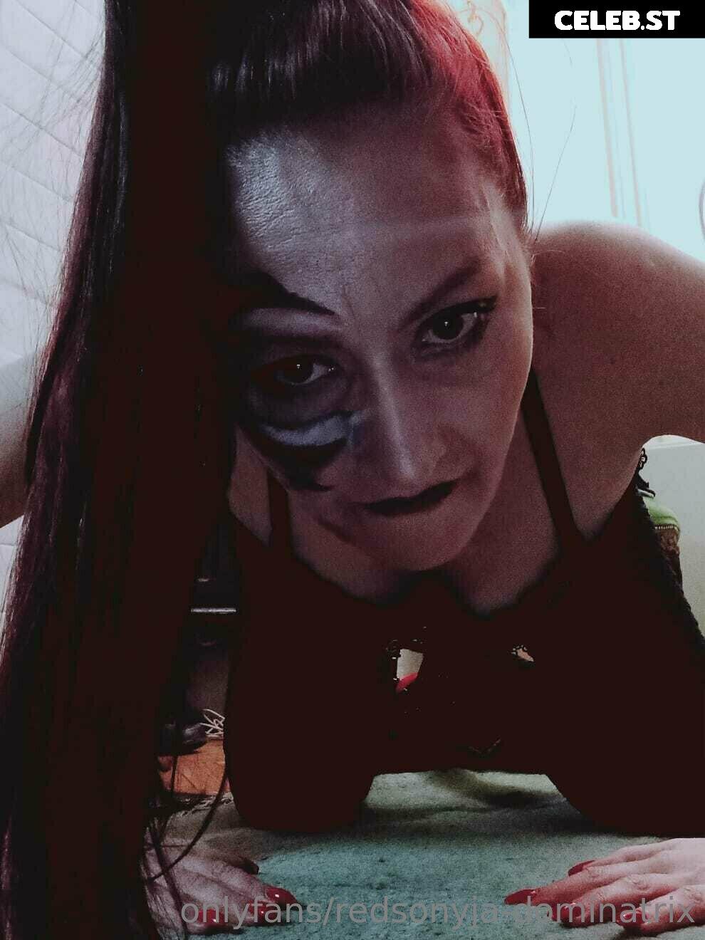 redsonyja-dominatrix Image 22230159
