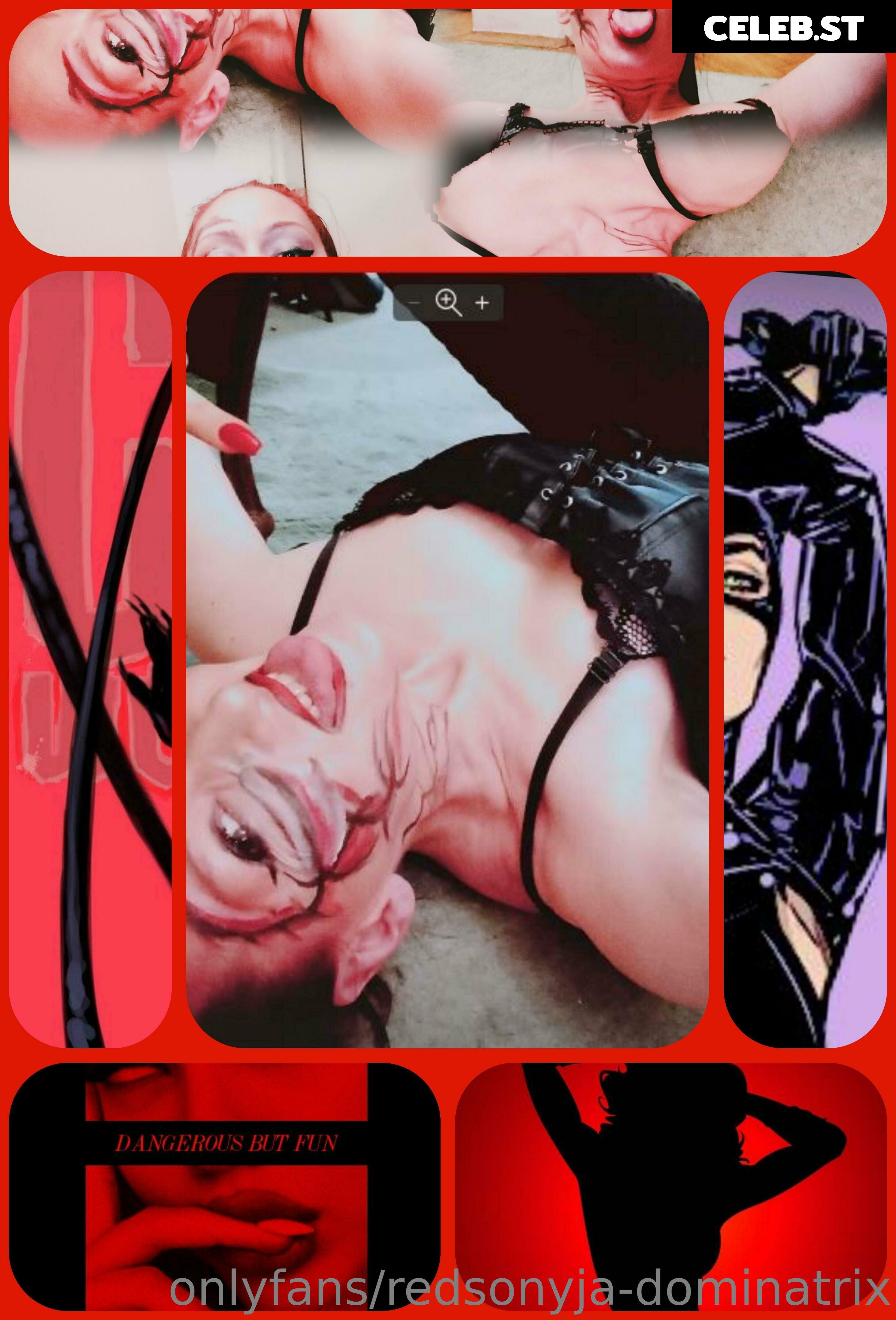 redsonyja-dominatrix Image 22230092
