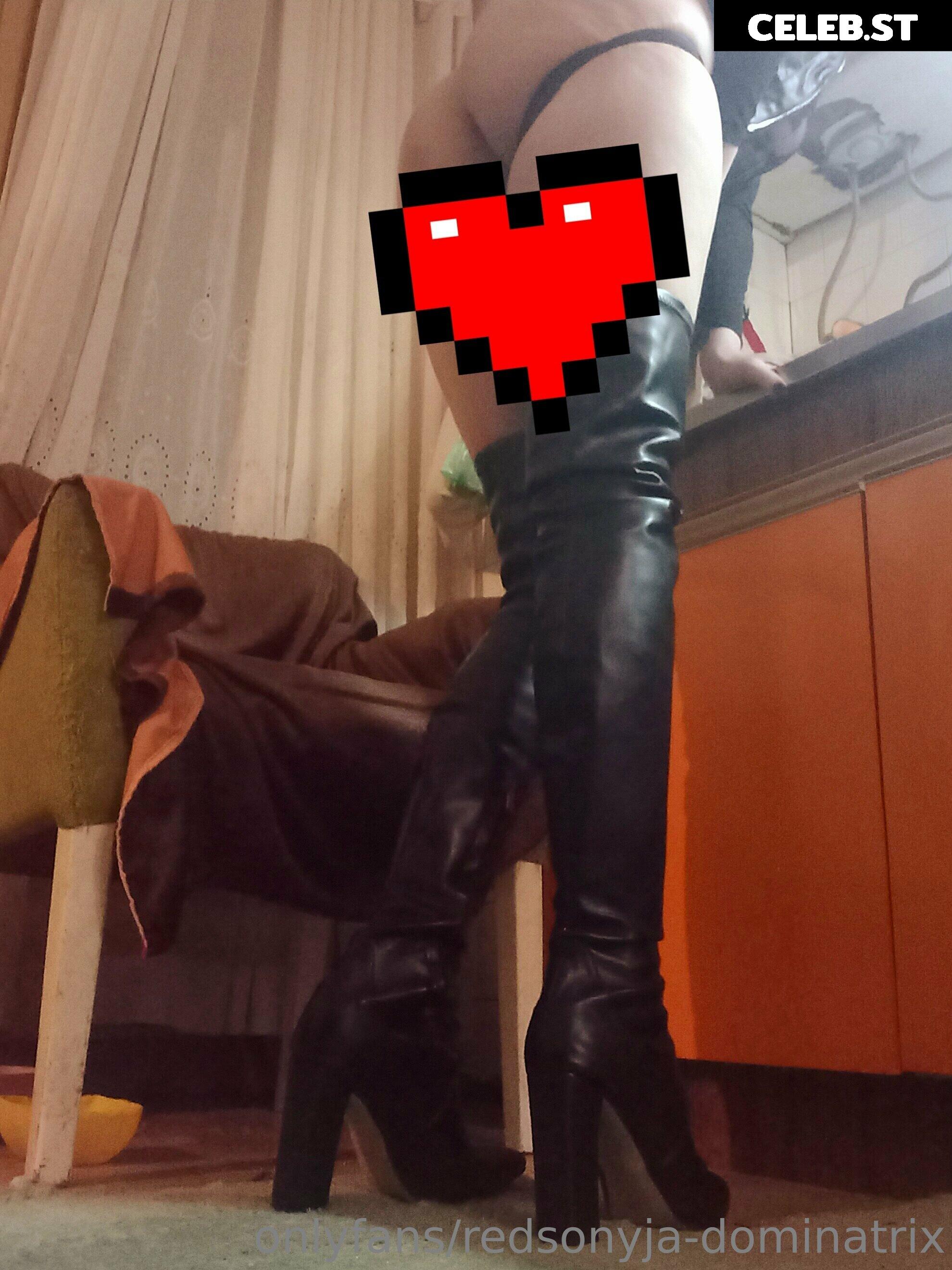 redsonyja-dominatrix Image 22230013