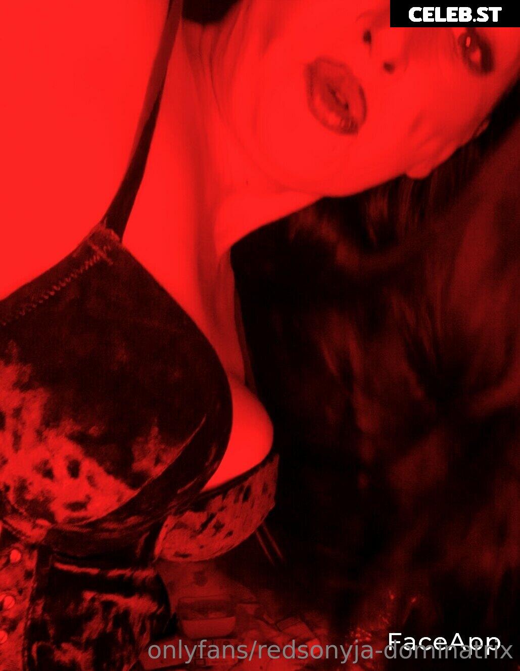 redsonyja-dominatrix Image 22230017