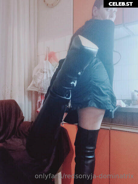 redsonyja-dominatrix Image 22230019