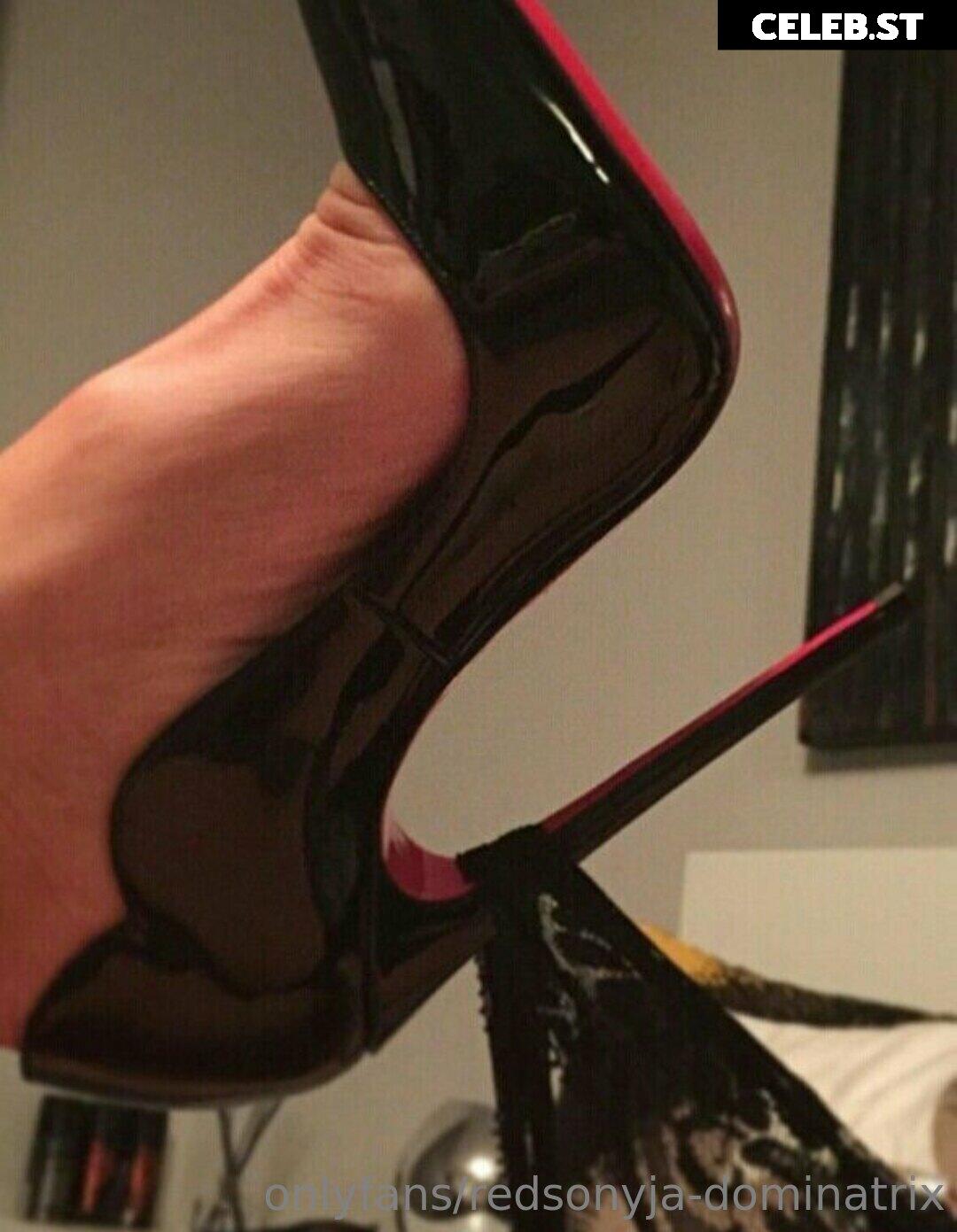 redsonyja-dominatrix Image 22230002