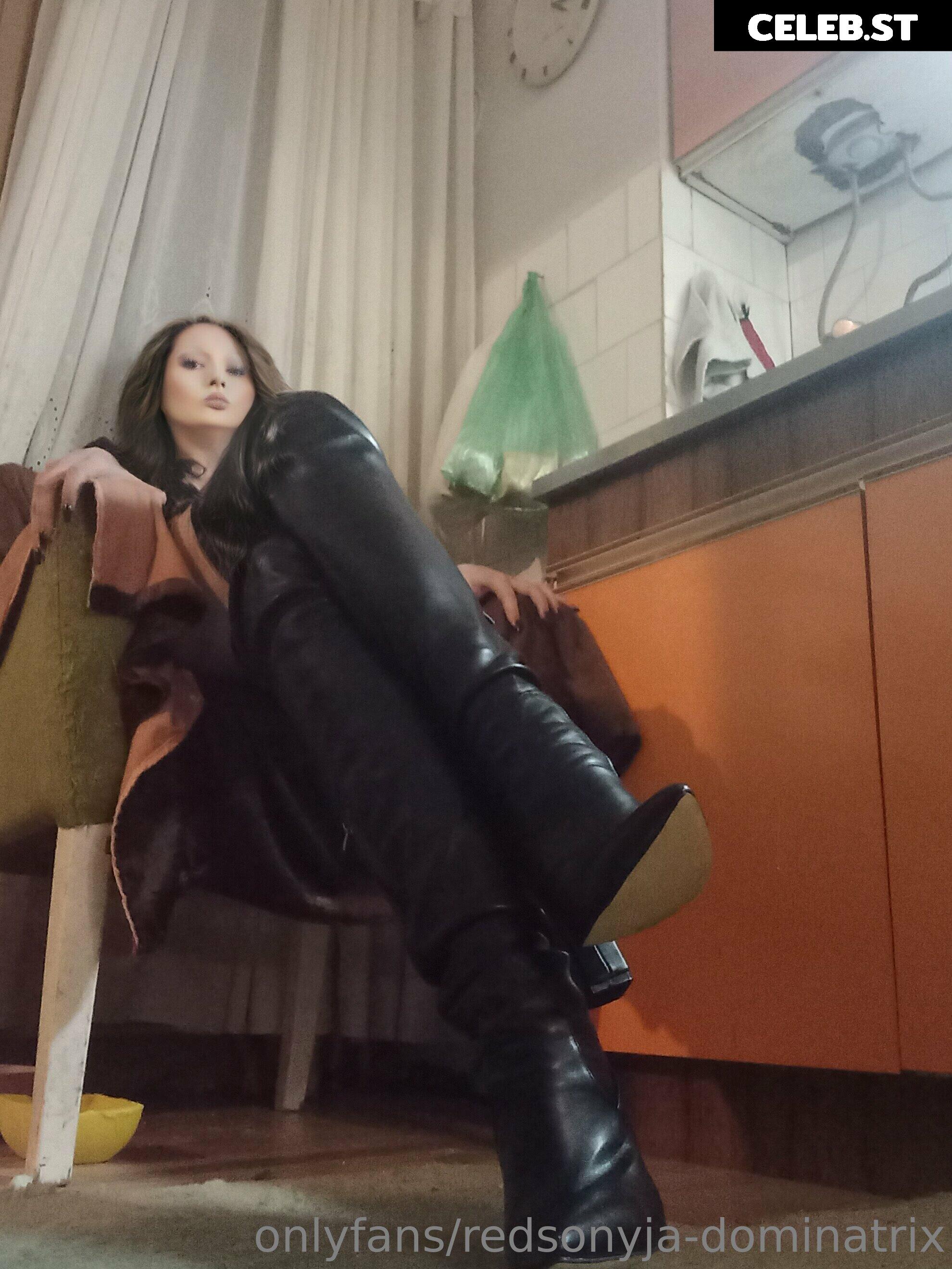 redsonyja-dominatrix Image 22230007