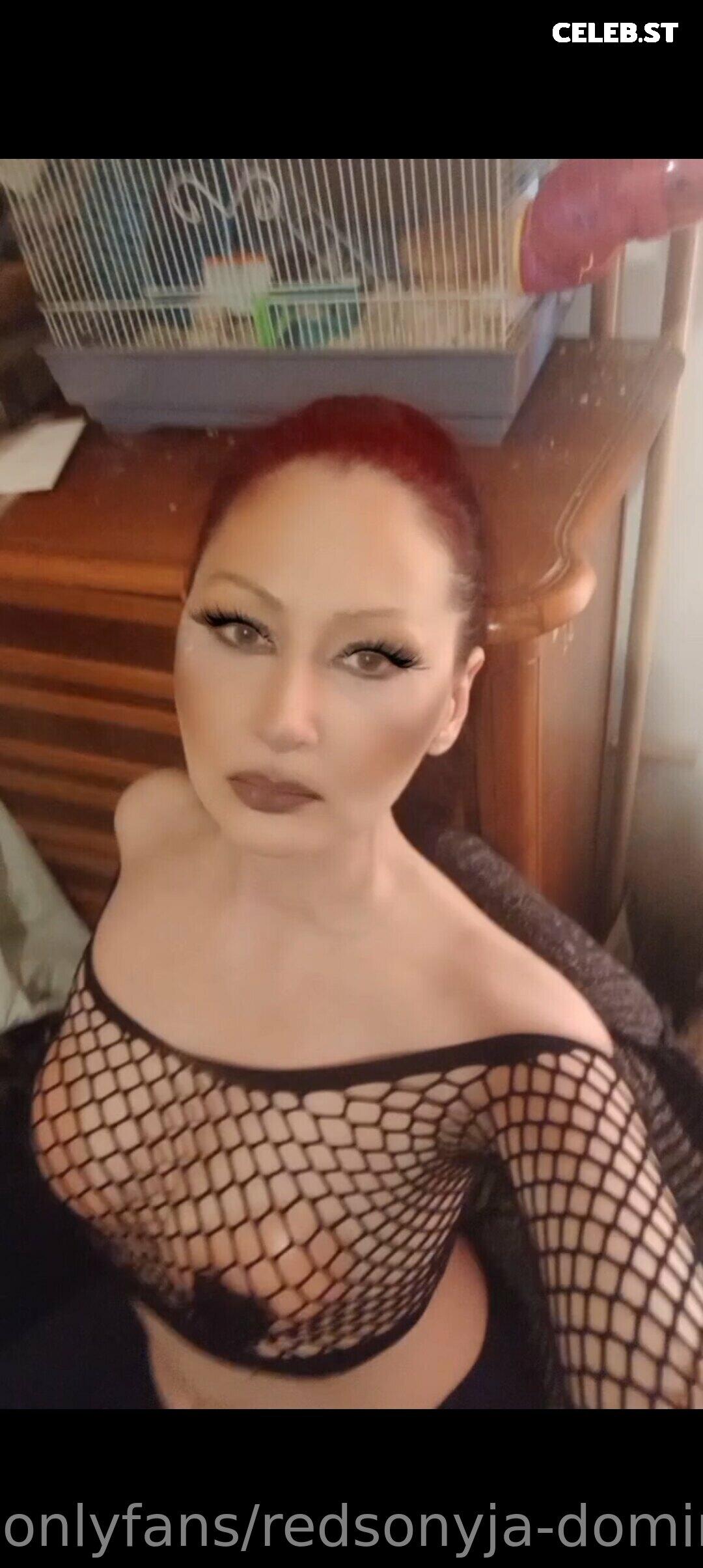 redsonyja-dominatrix Image 22230056