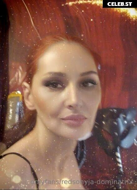 redsonyja-dominatrix Image 22230044