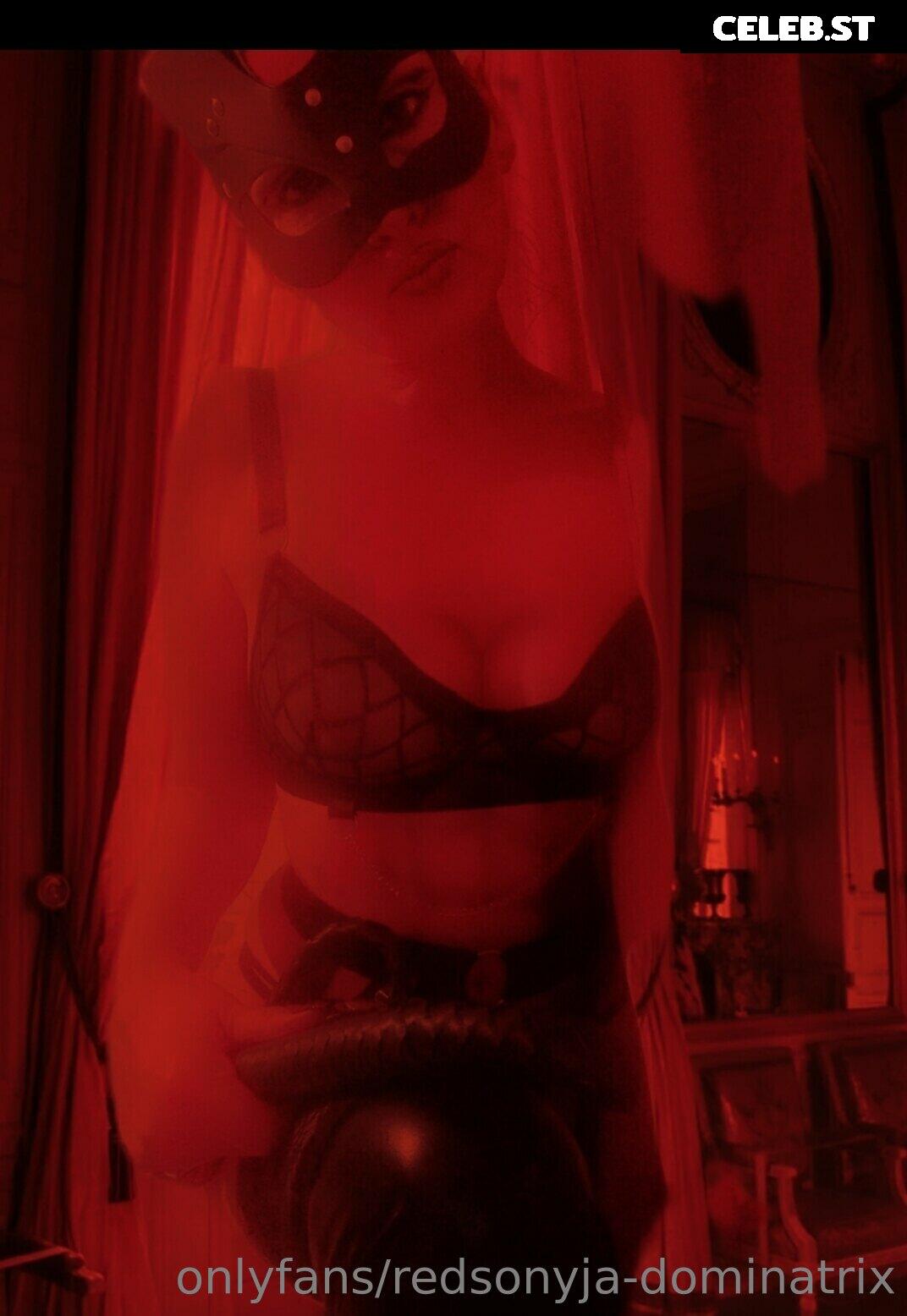 redsonyja-dominatrix Image 22230074