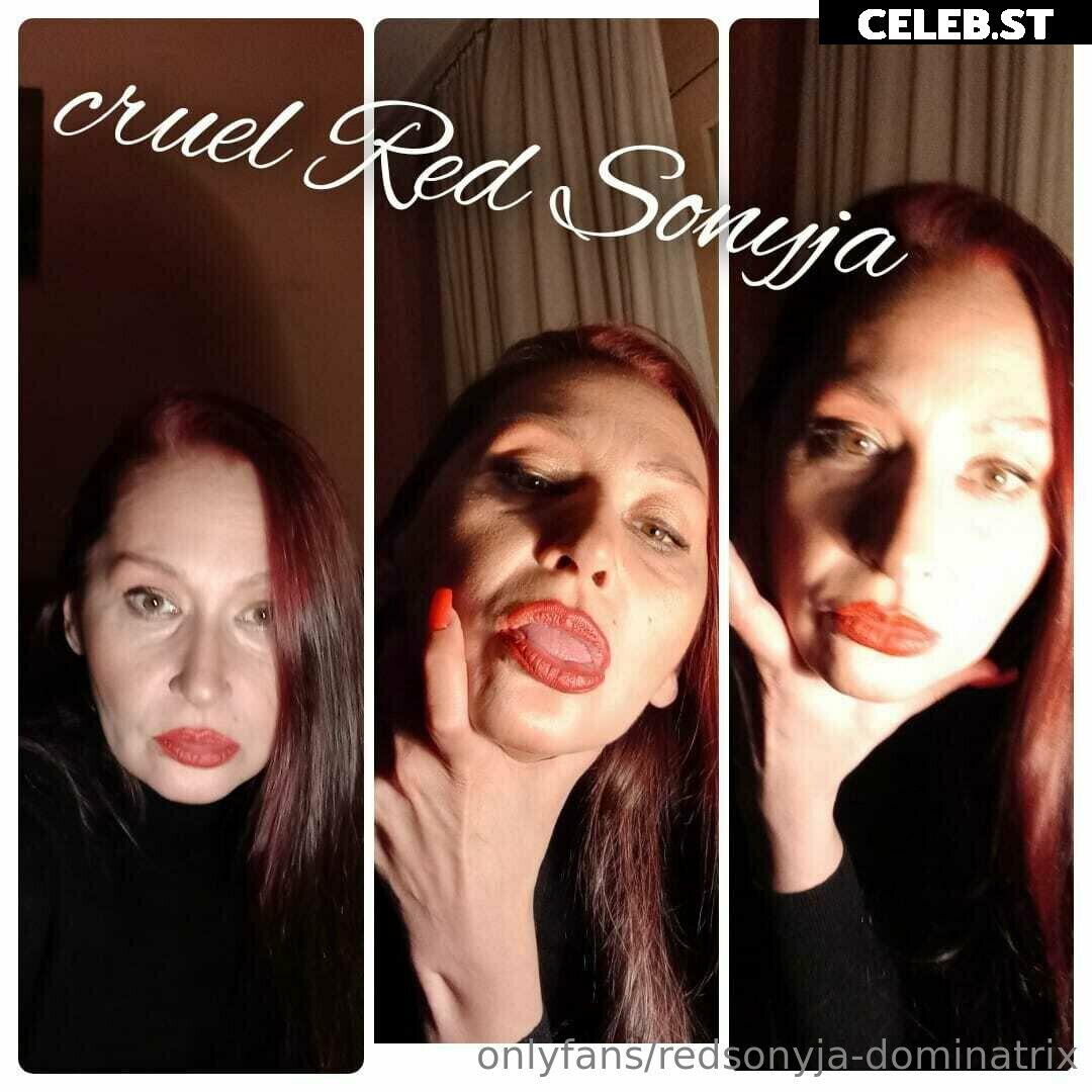 redsonyja-dominatrix Image 22230380