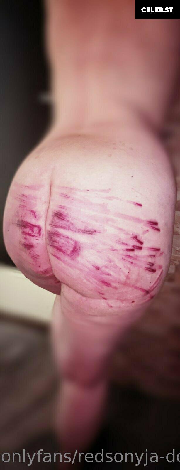 redsonyja-dominatrix Image 22230319