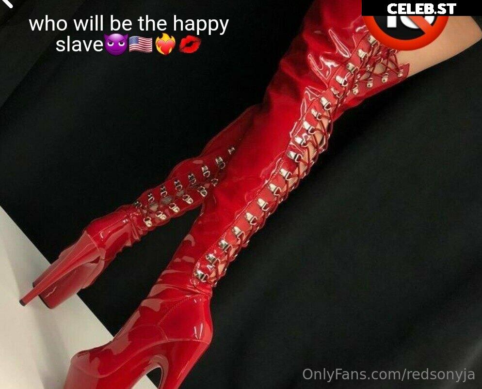 redsonyja-dominatrix Image 22230304