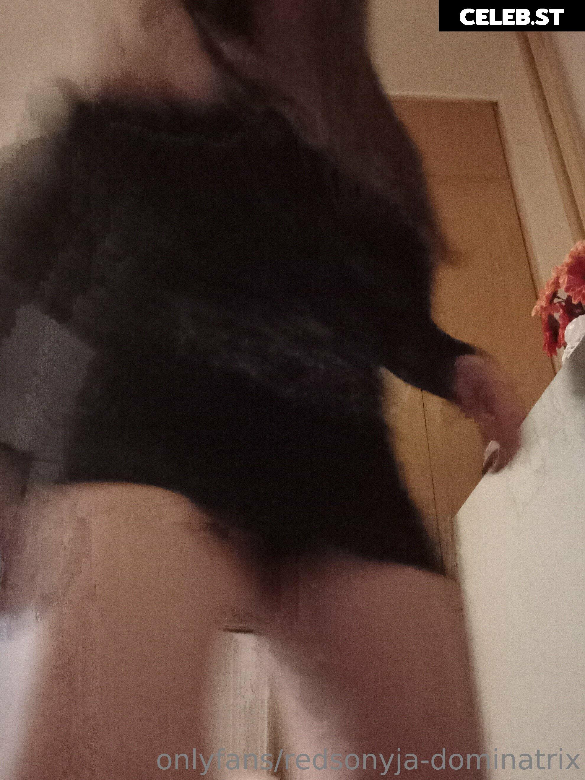 redsonyja-dominatrix Image 22230337