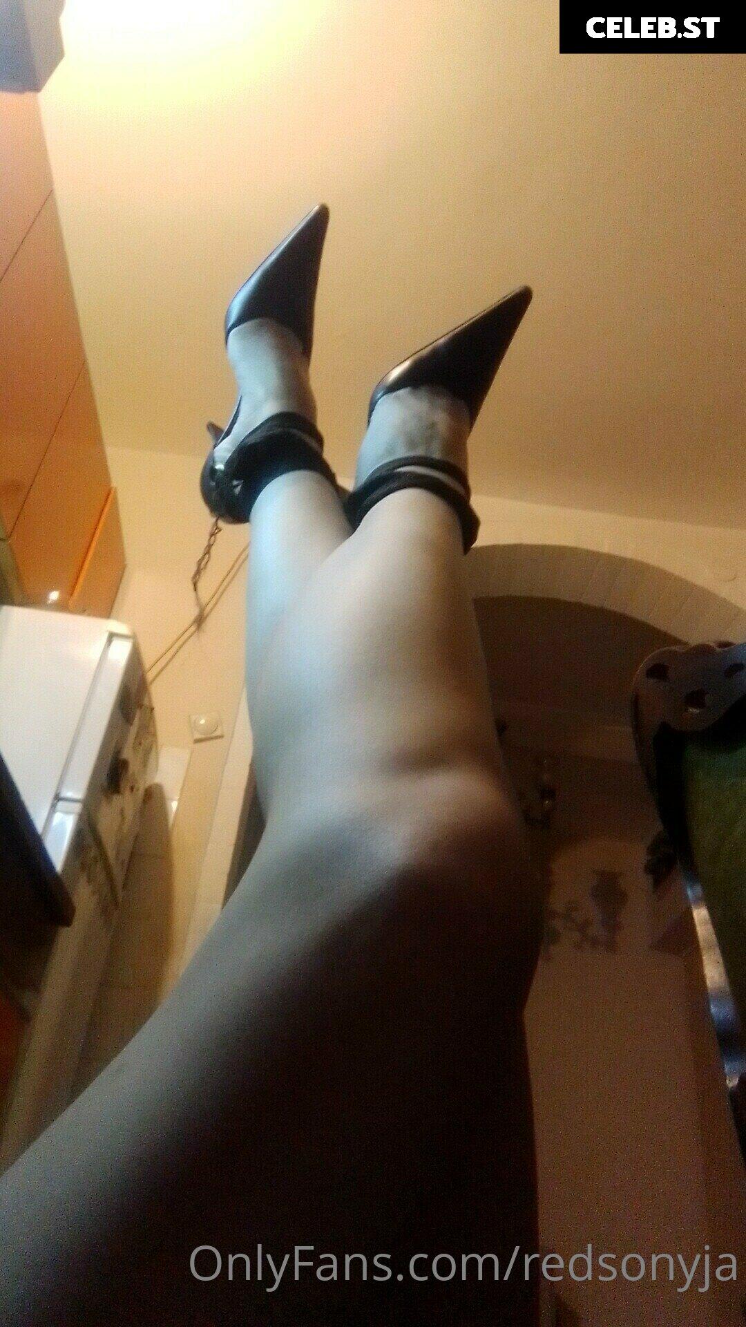 redsonyja-dominatrix Image 22230344