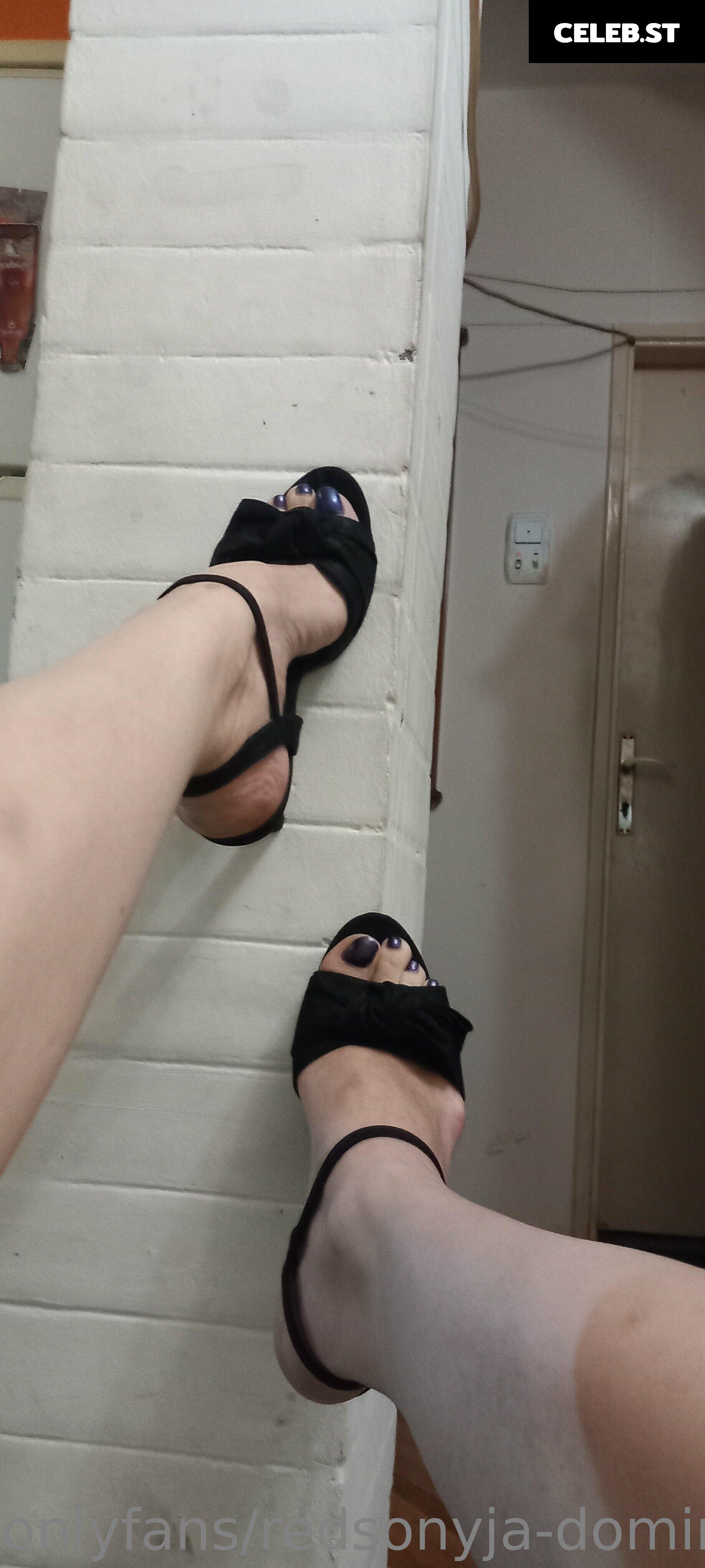 redsonyja-dominatrix Image 22230281