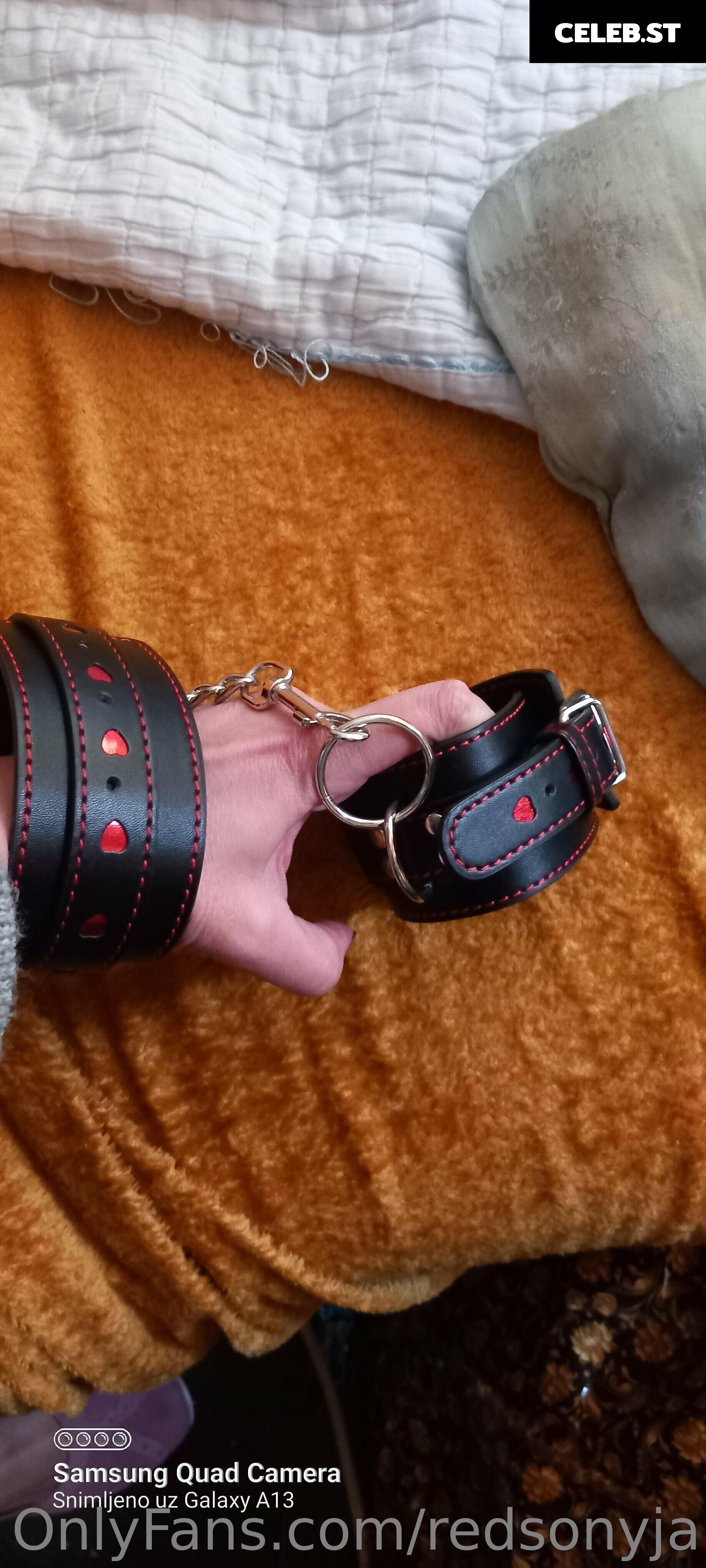 redsonyja-dominatrix Image 22230213